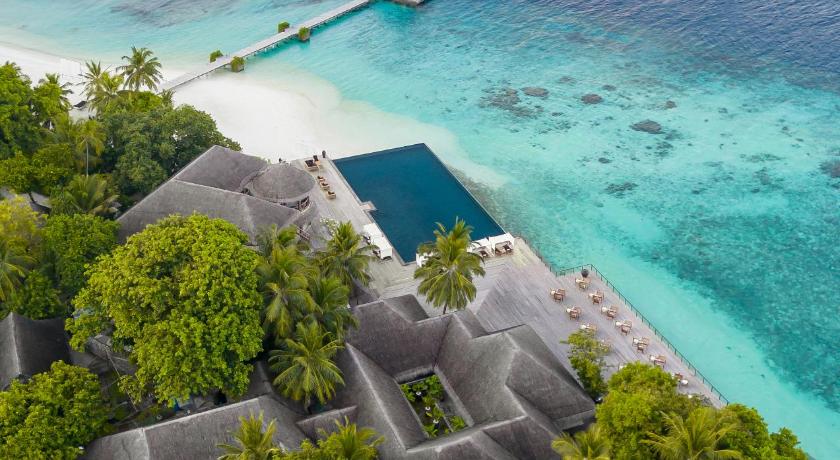 Coco Bodu Hithi