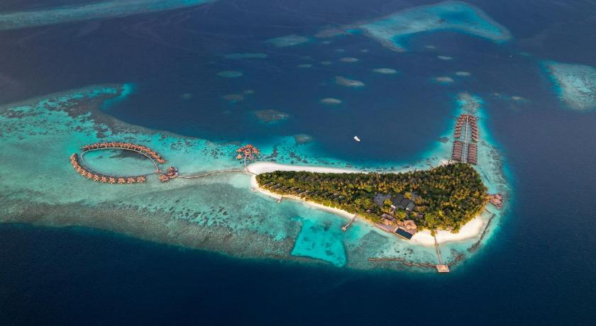 Coco Bodu Hithi