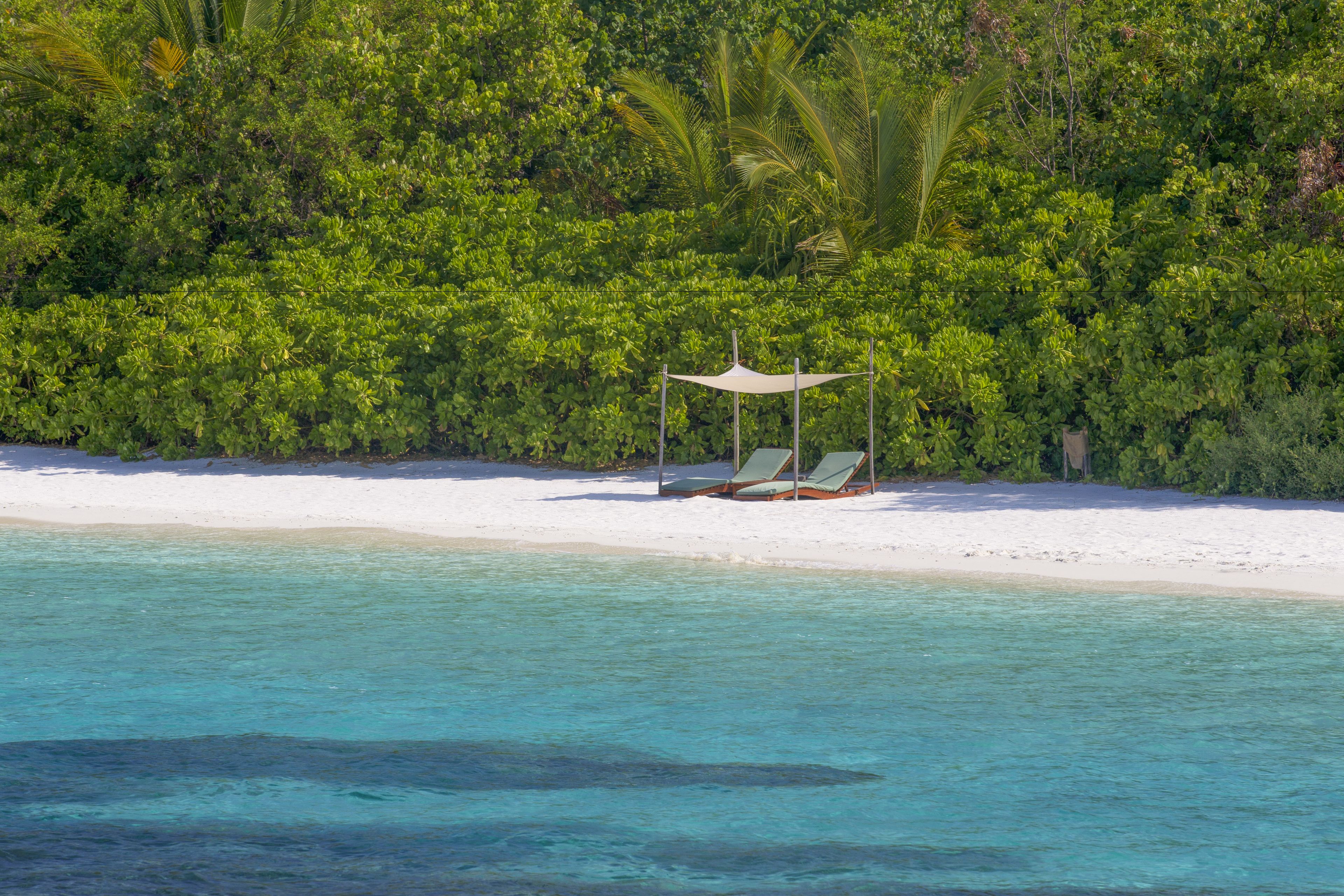 Coco Bodu Hithi