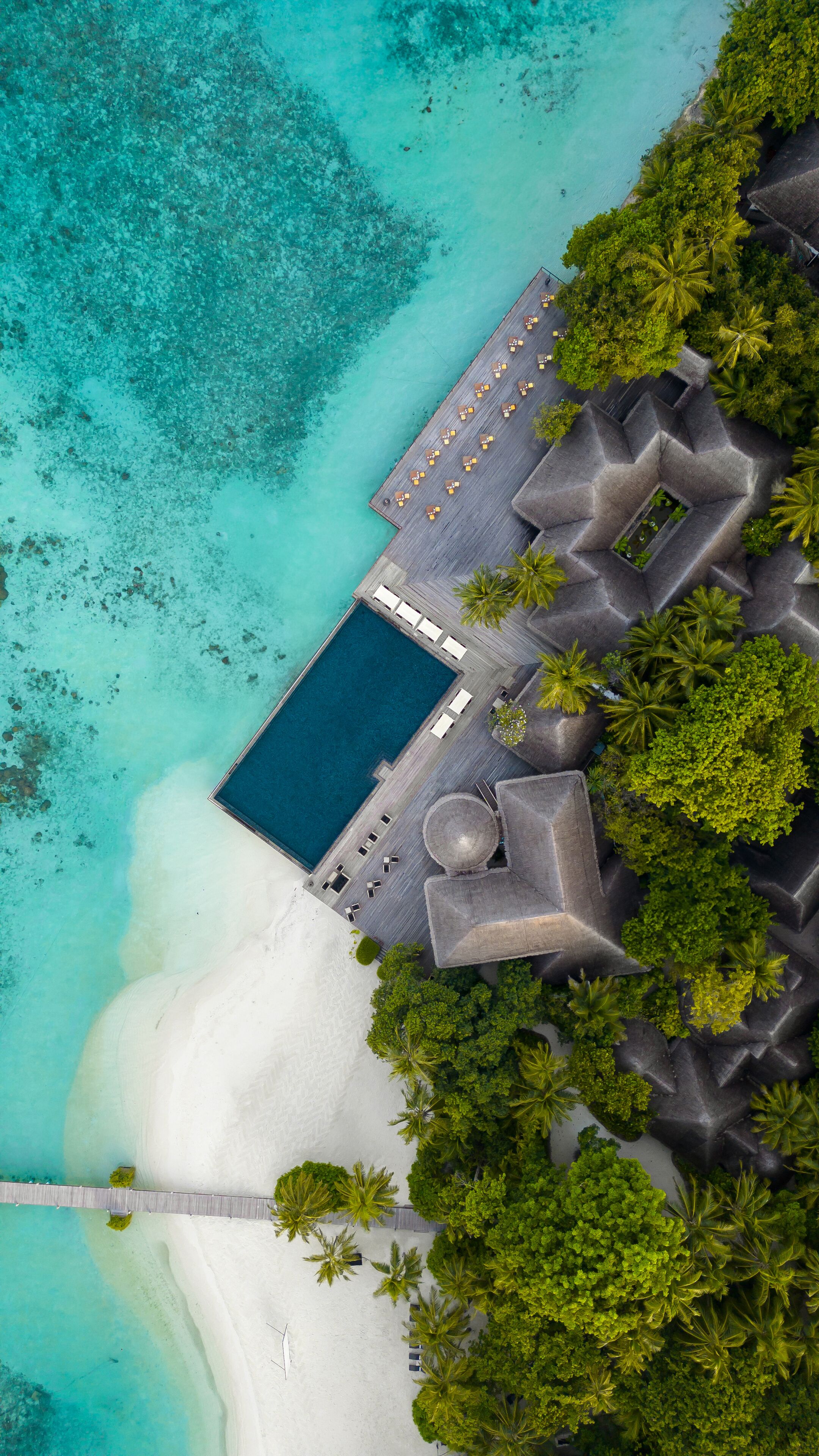 Coco Bodu Hithi