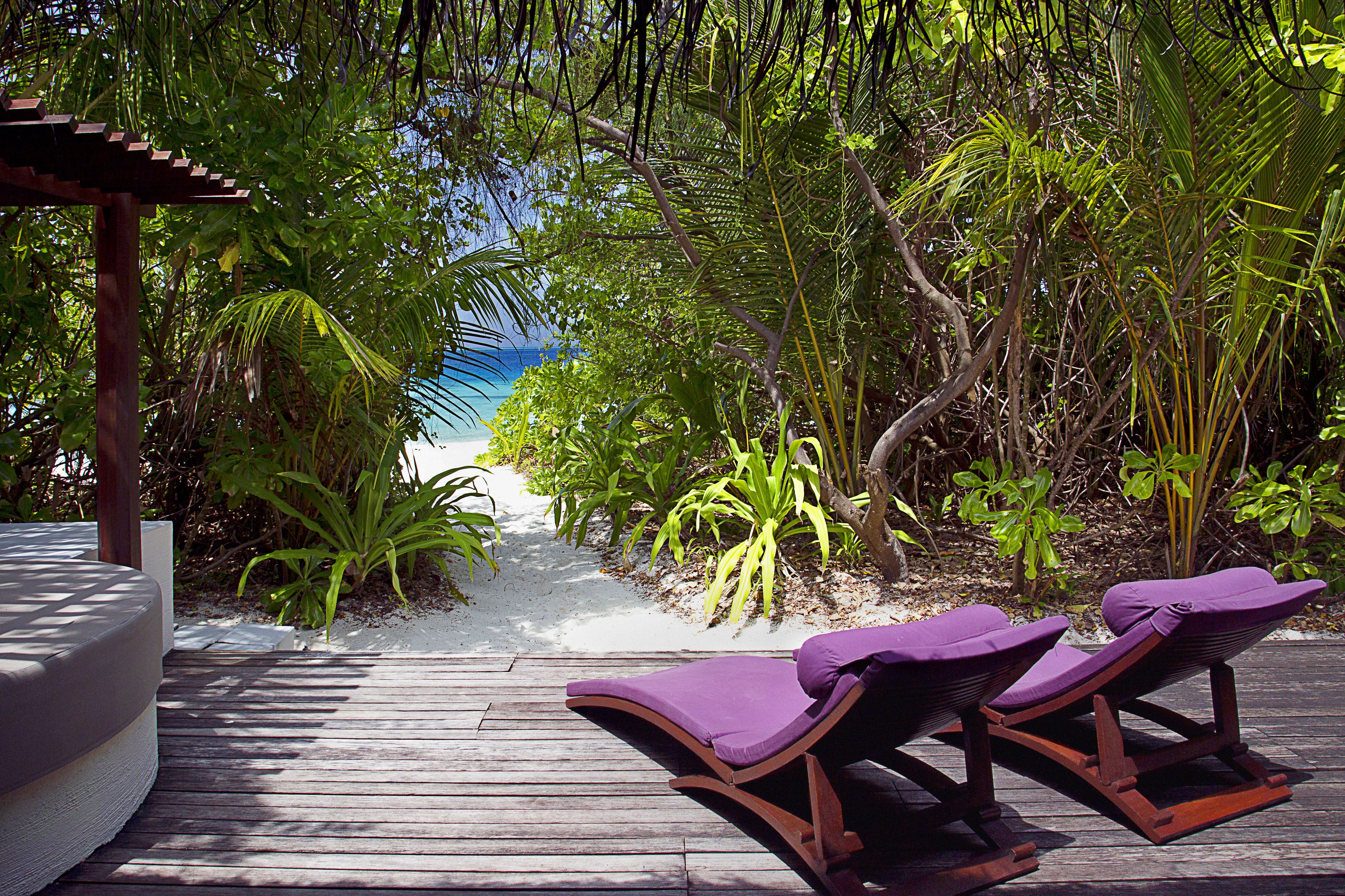 Coco Bodu Hithi
