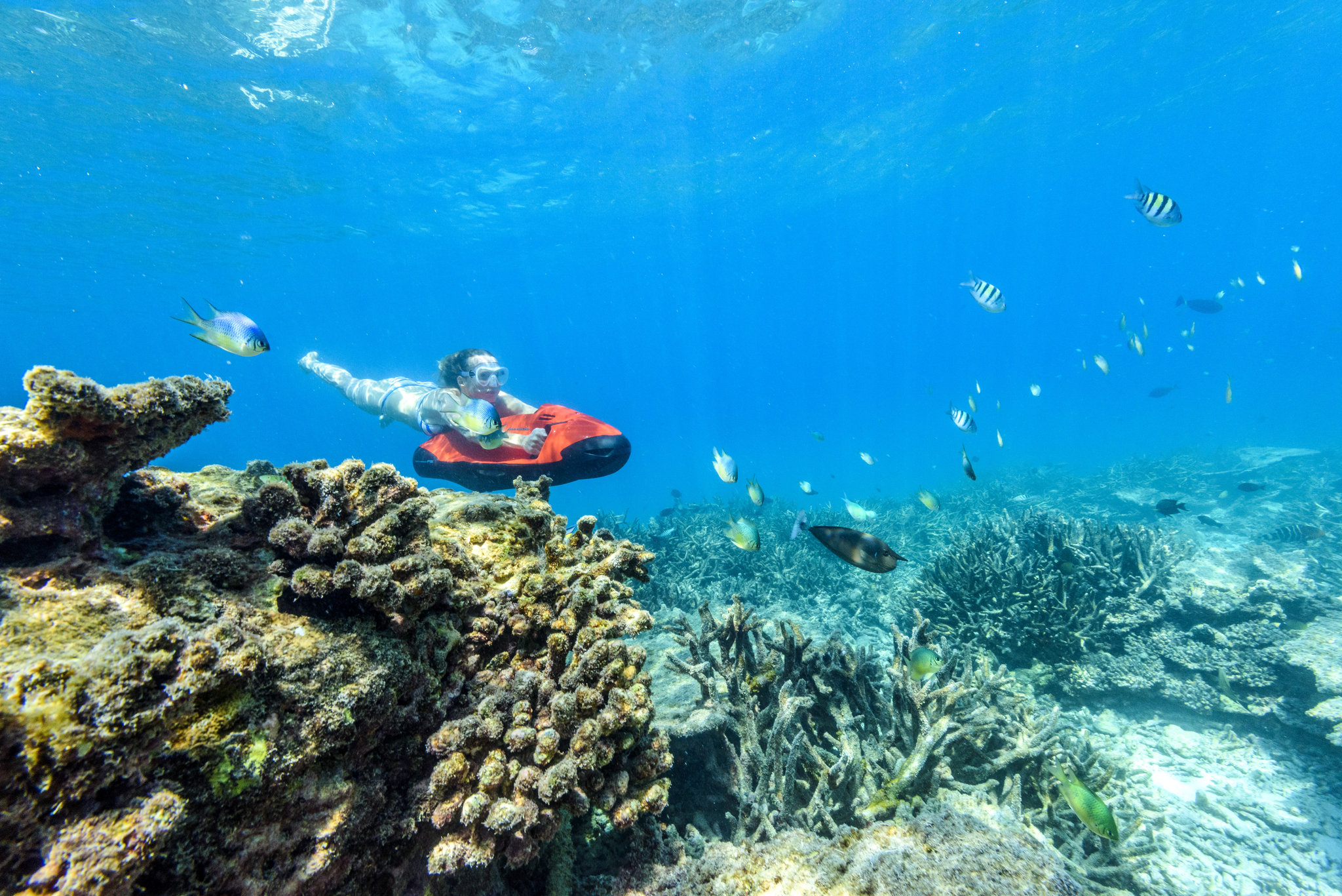 Sheraton Maldives Full Moon Resort & Spa