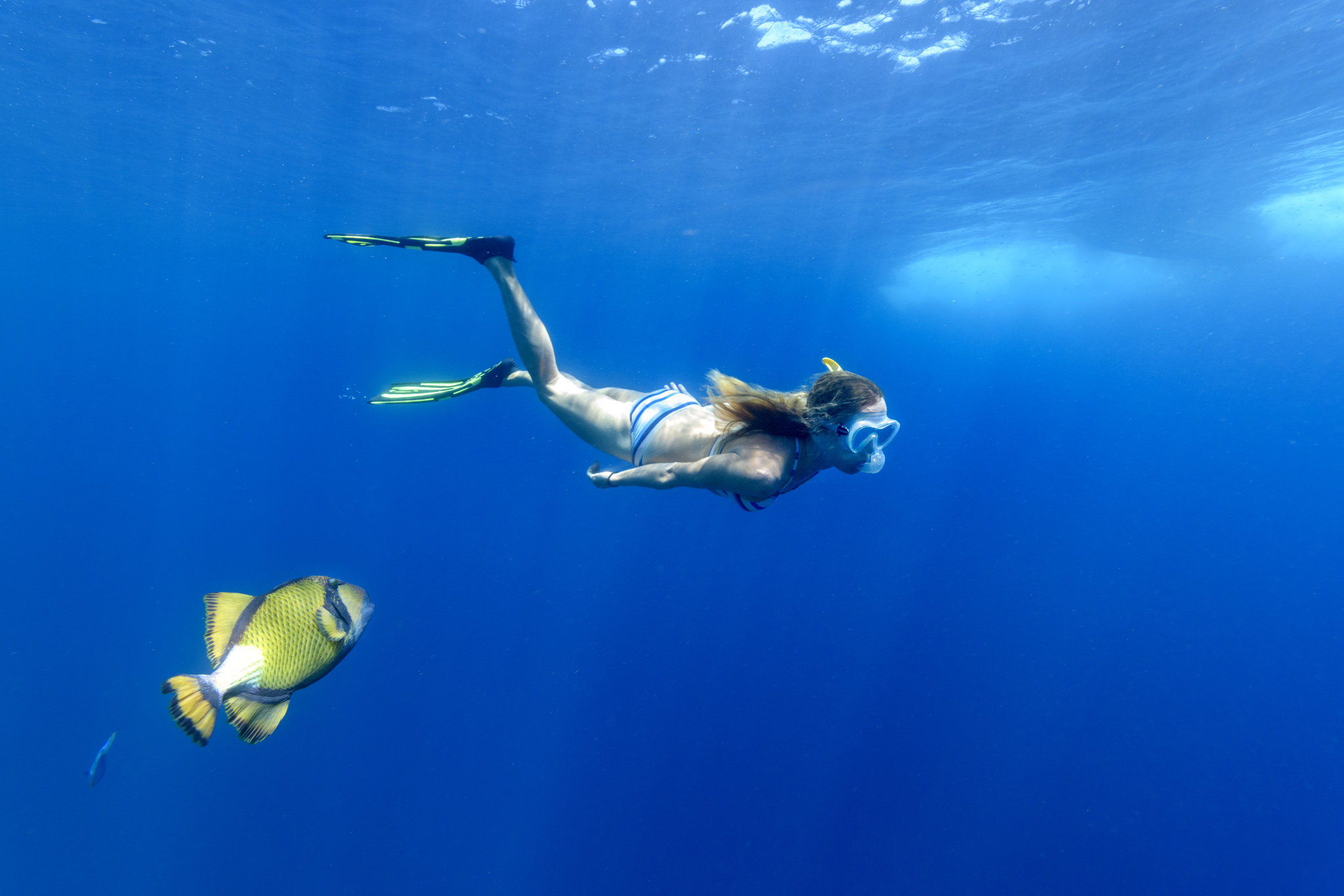 Sheraton Maldives Full Moon Resort & Spa