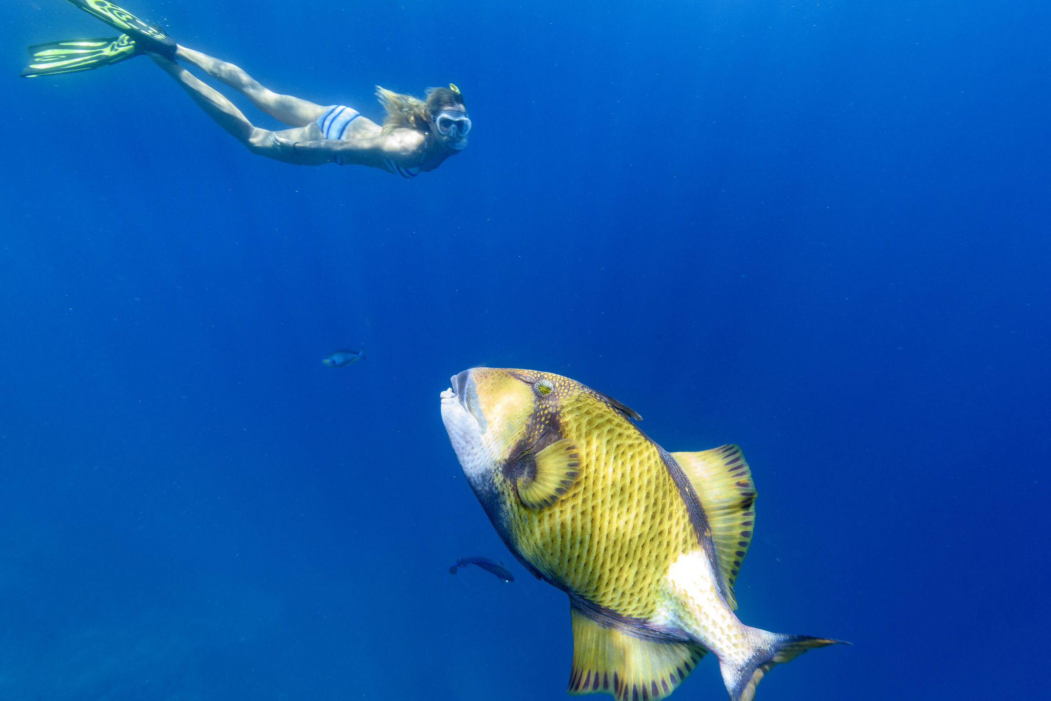 Sheraton Maldives Full Moon Resort & Spa