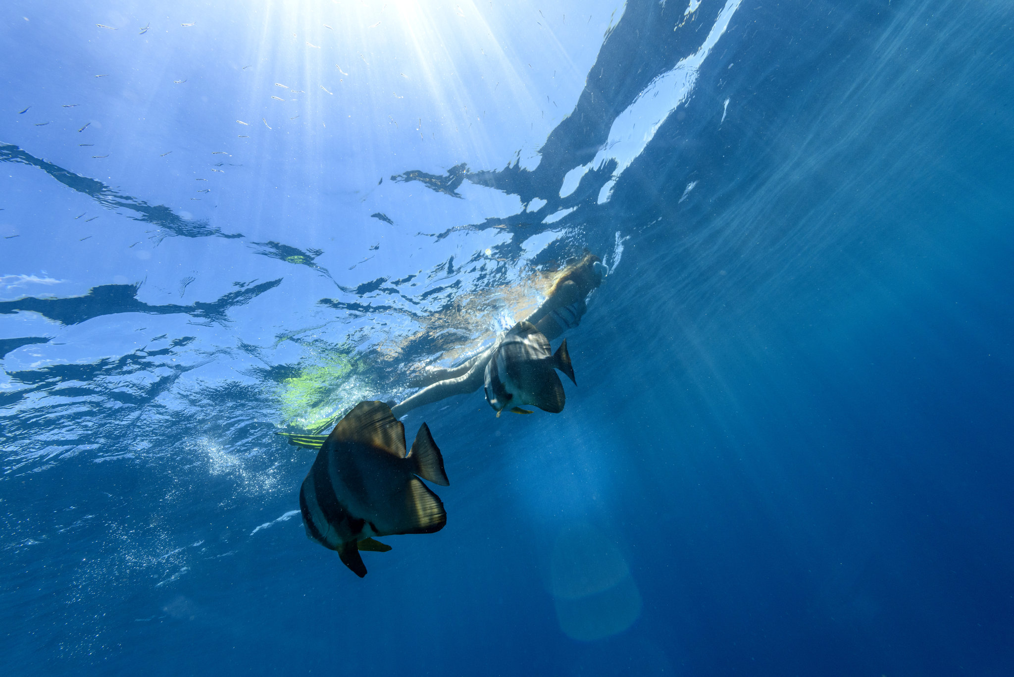 Sheraton Maldives Full Moon Resort & Spa