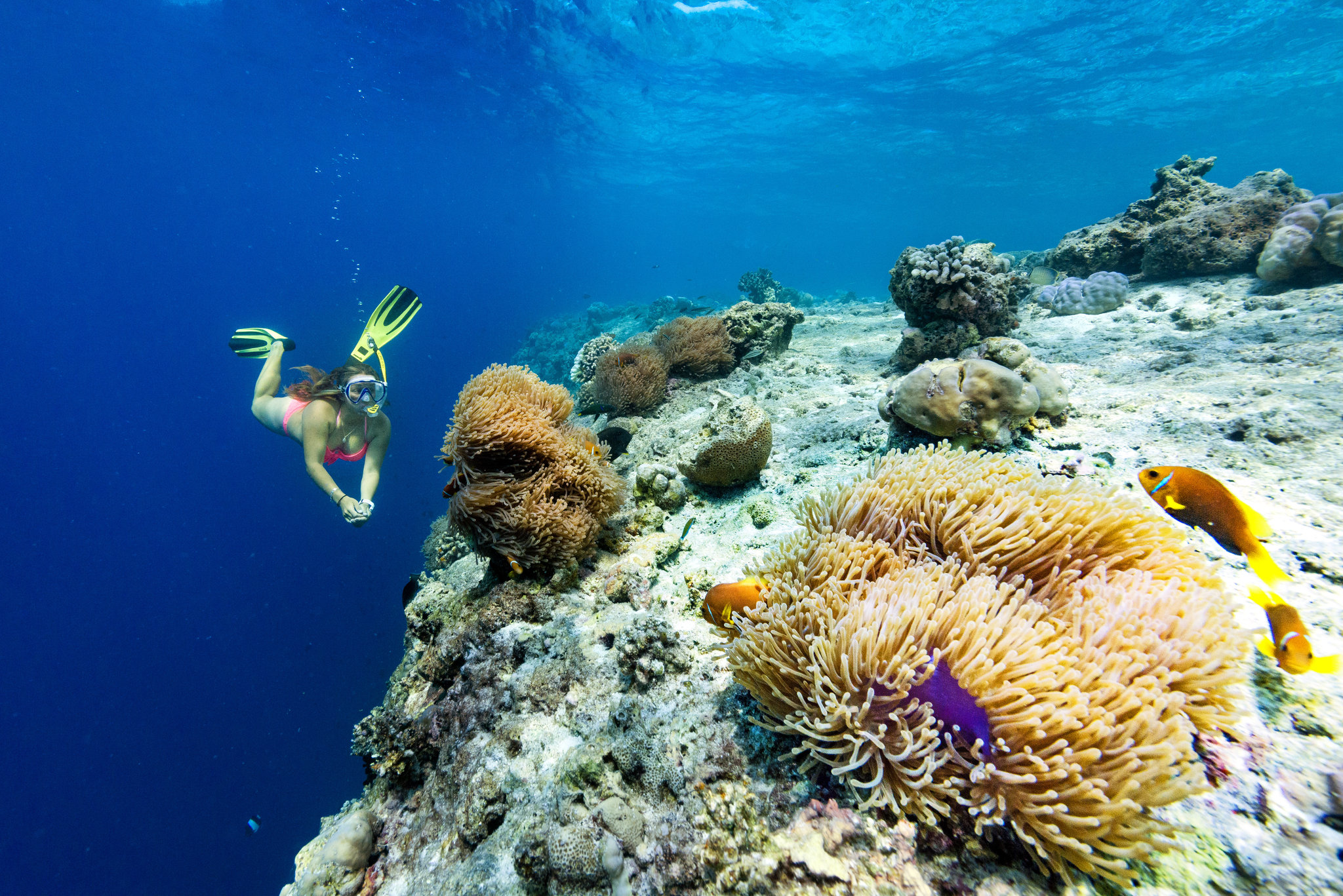 Sheraton Maldives Full Moon Resort & Spa