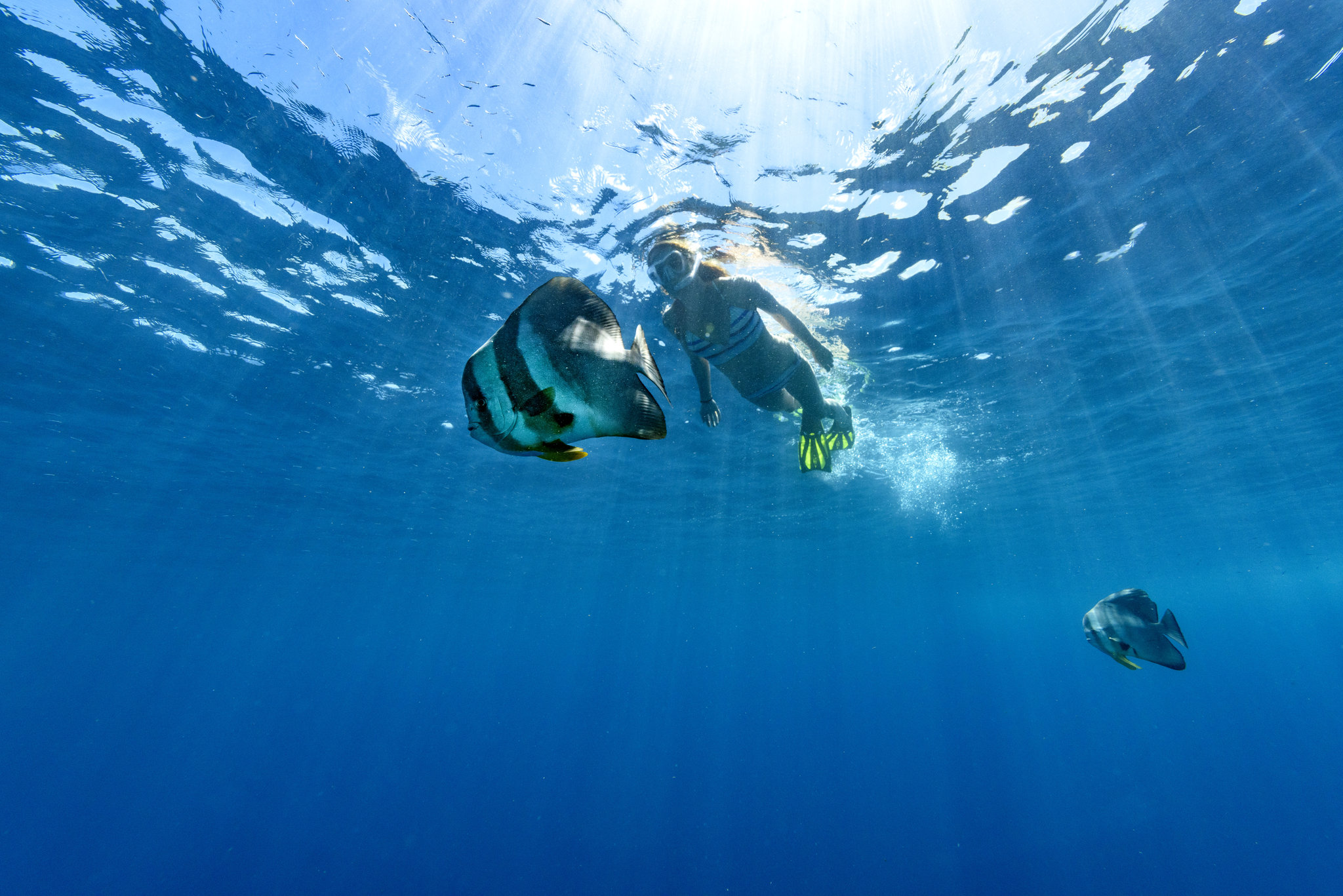 Sheraton Maldives Full Moon Resort & Spa