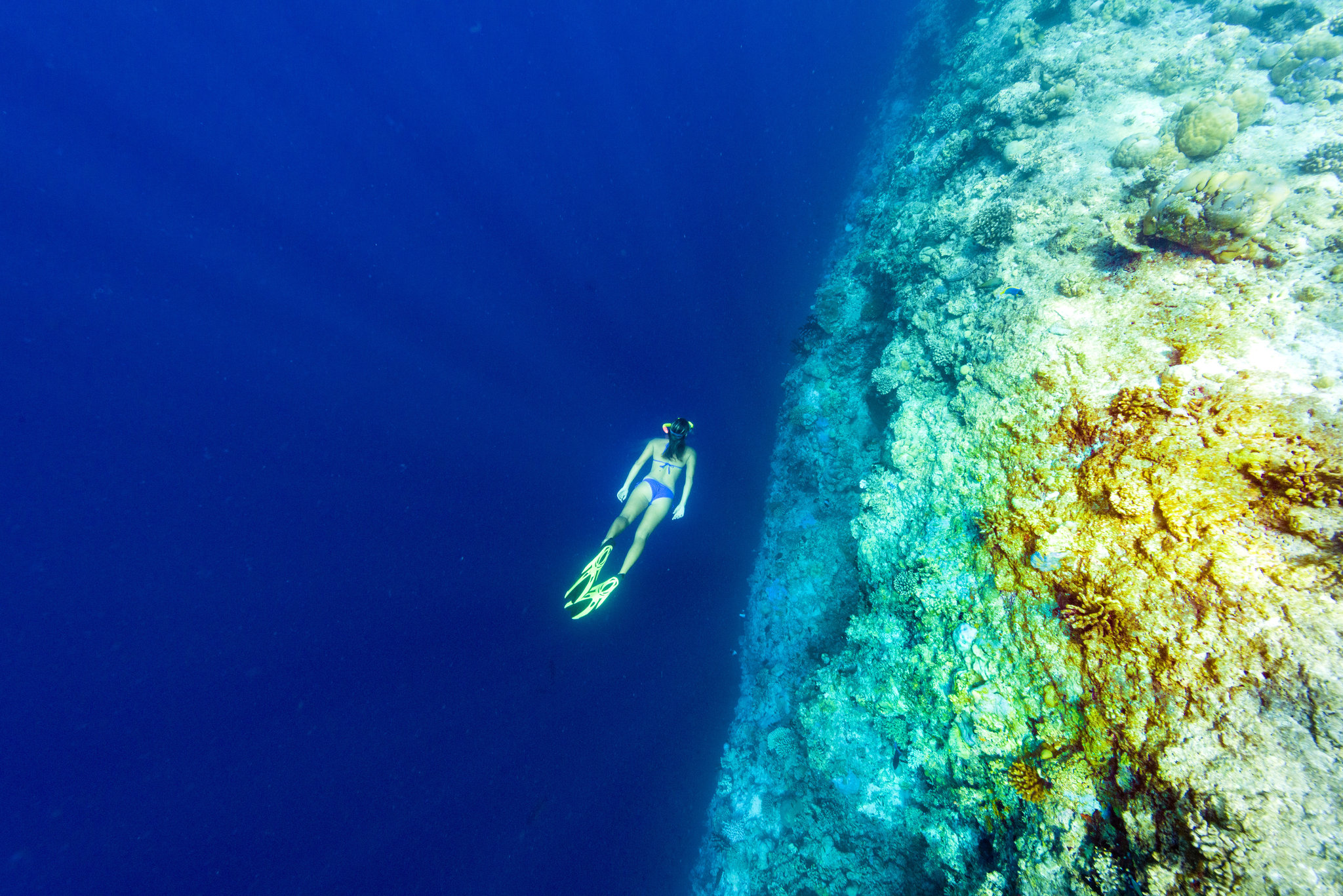 Sheraton Maldives Full Moon Resort & Spa