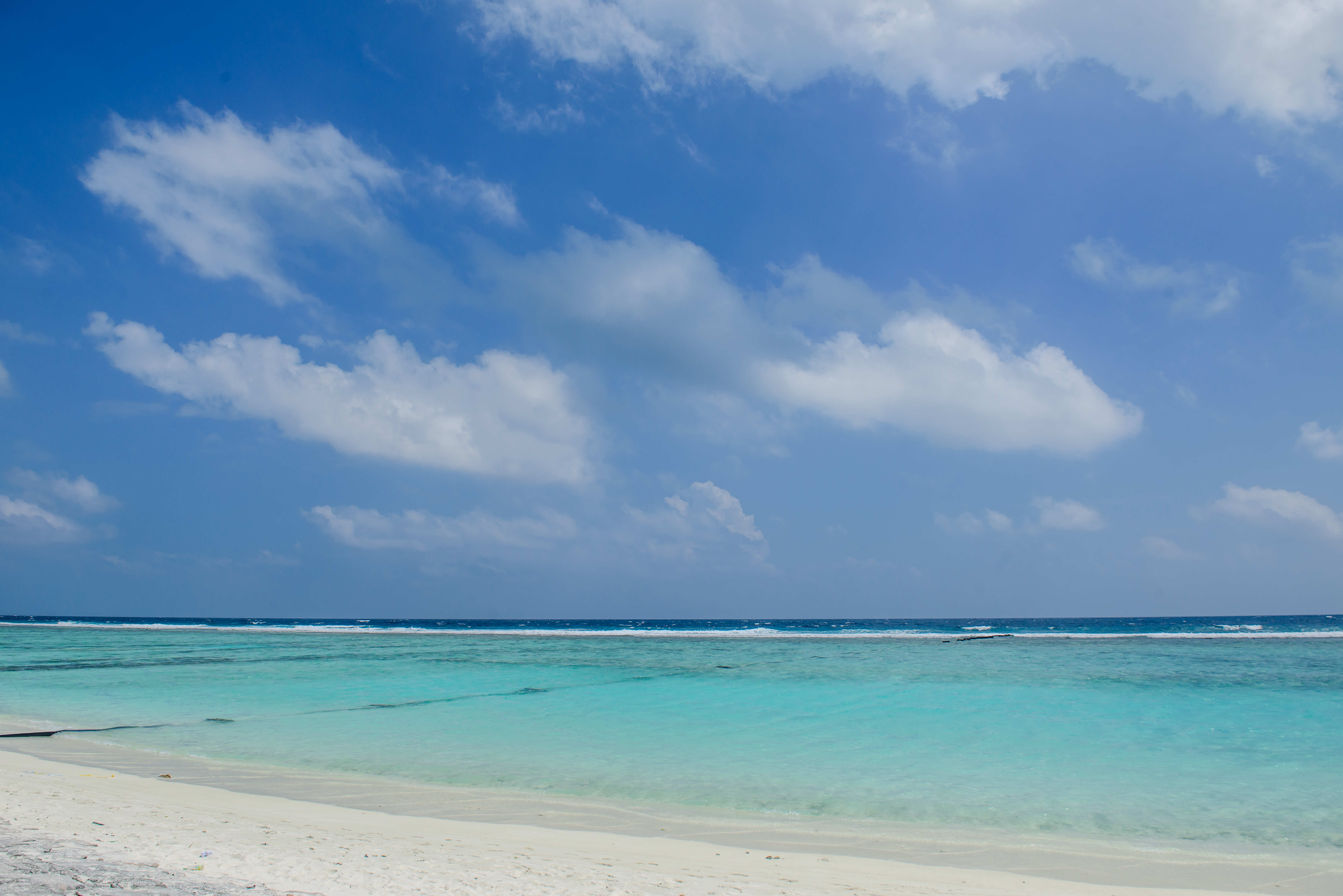 Season Holidays
