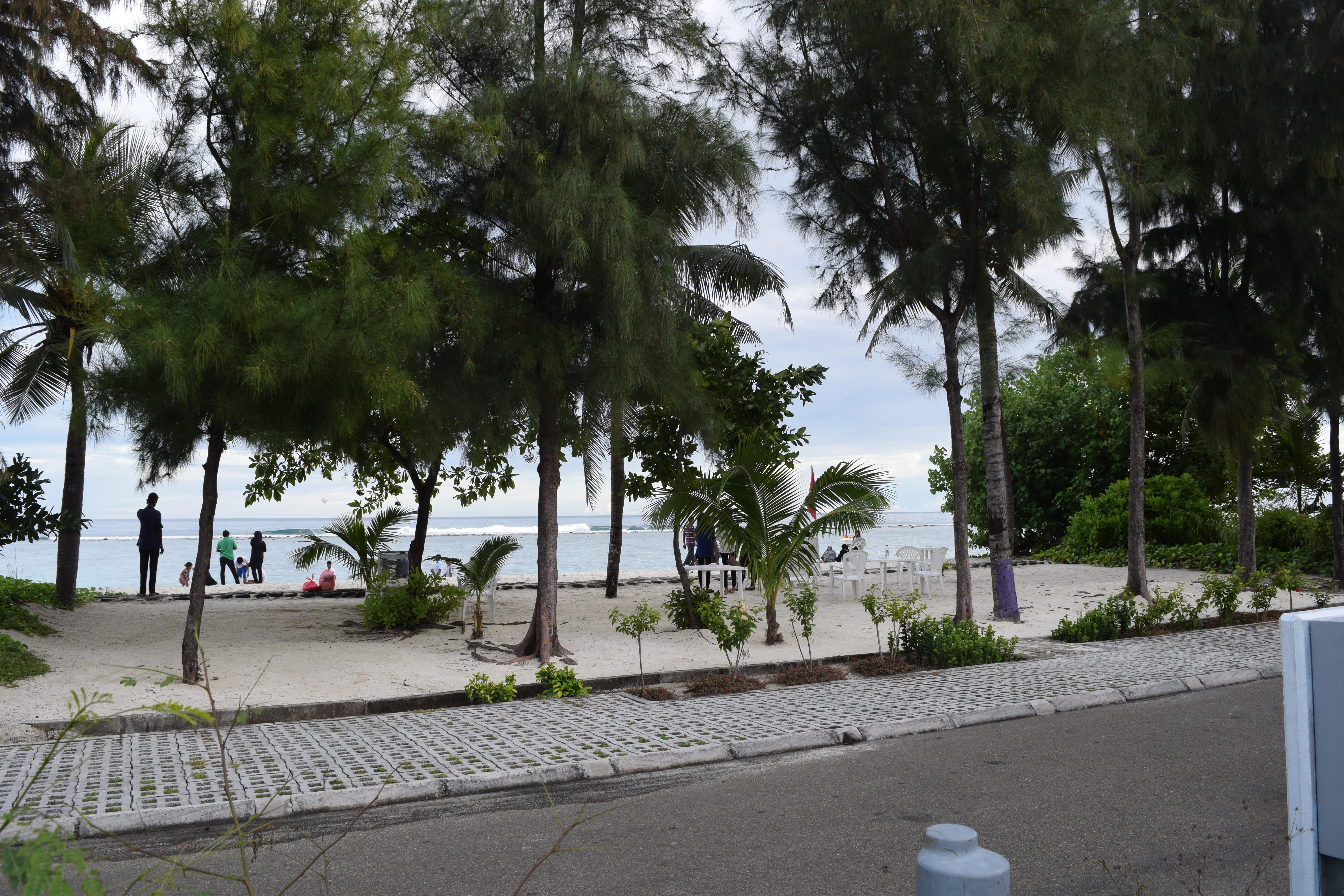 Transit Beach View