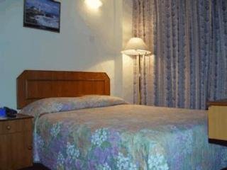 Central Hotel & Apartments