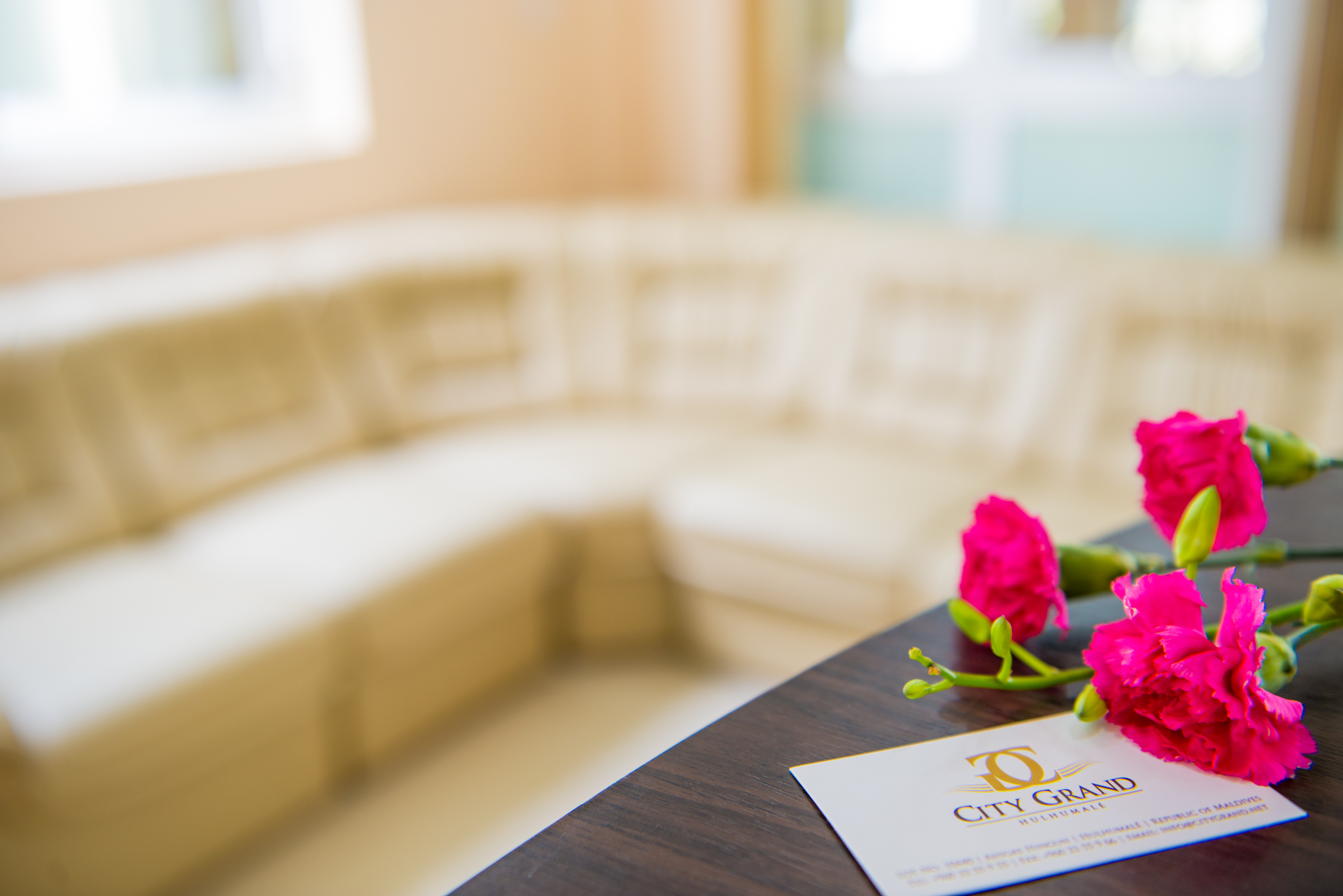 City Grand Guest House