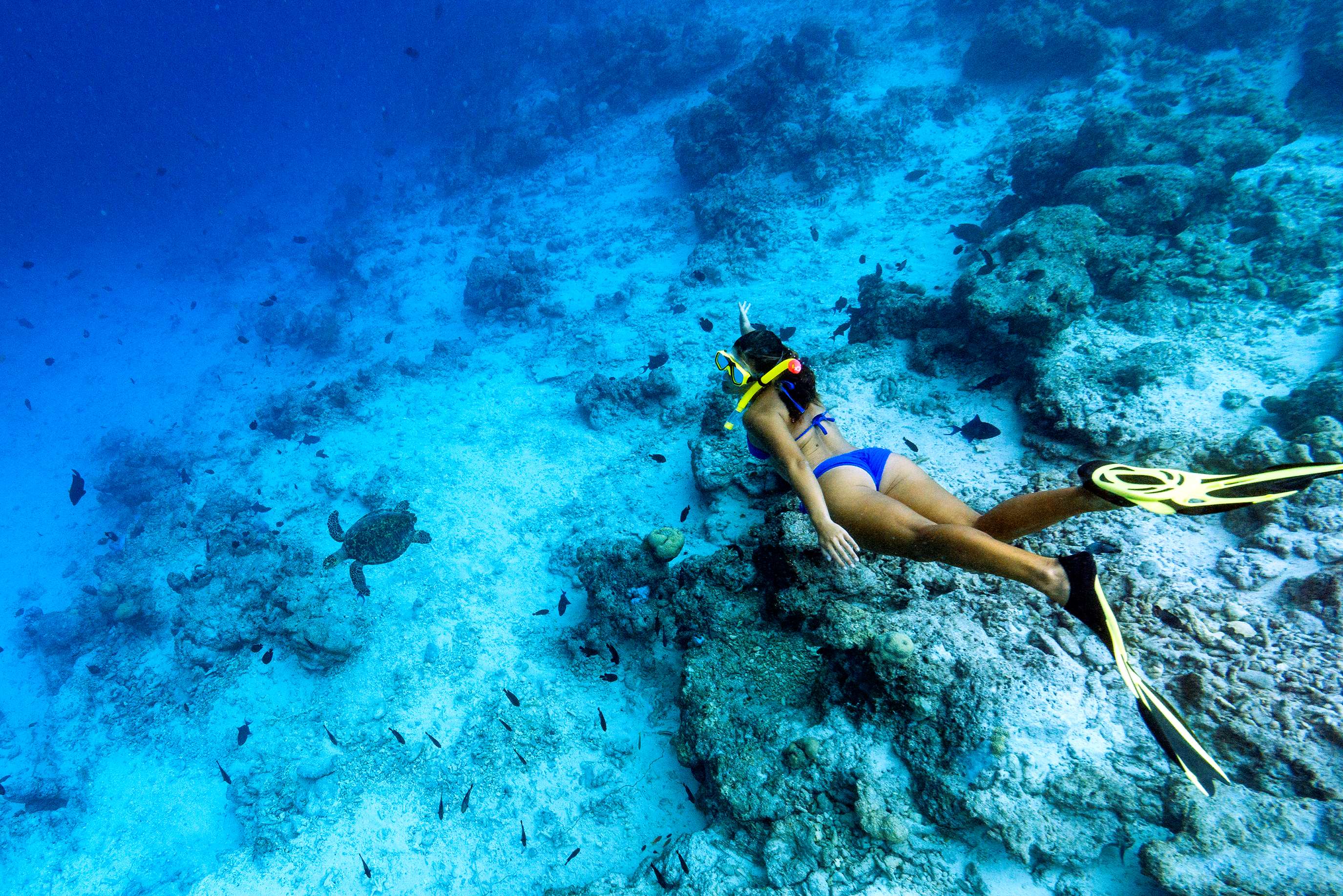 Sheraton Maldives Full Moon Resort & Spa