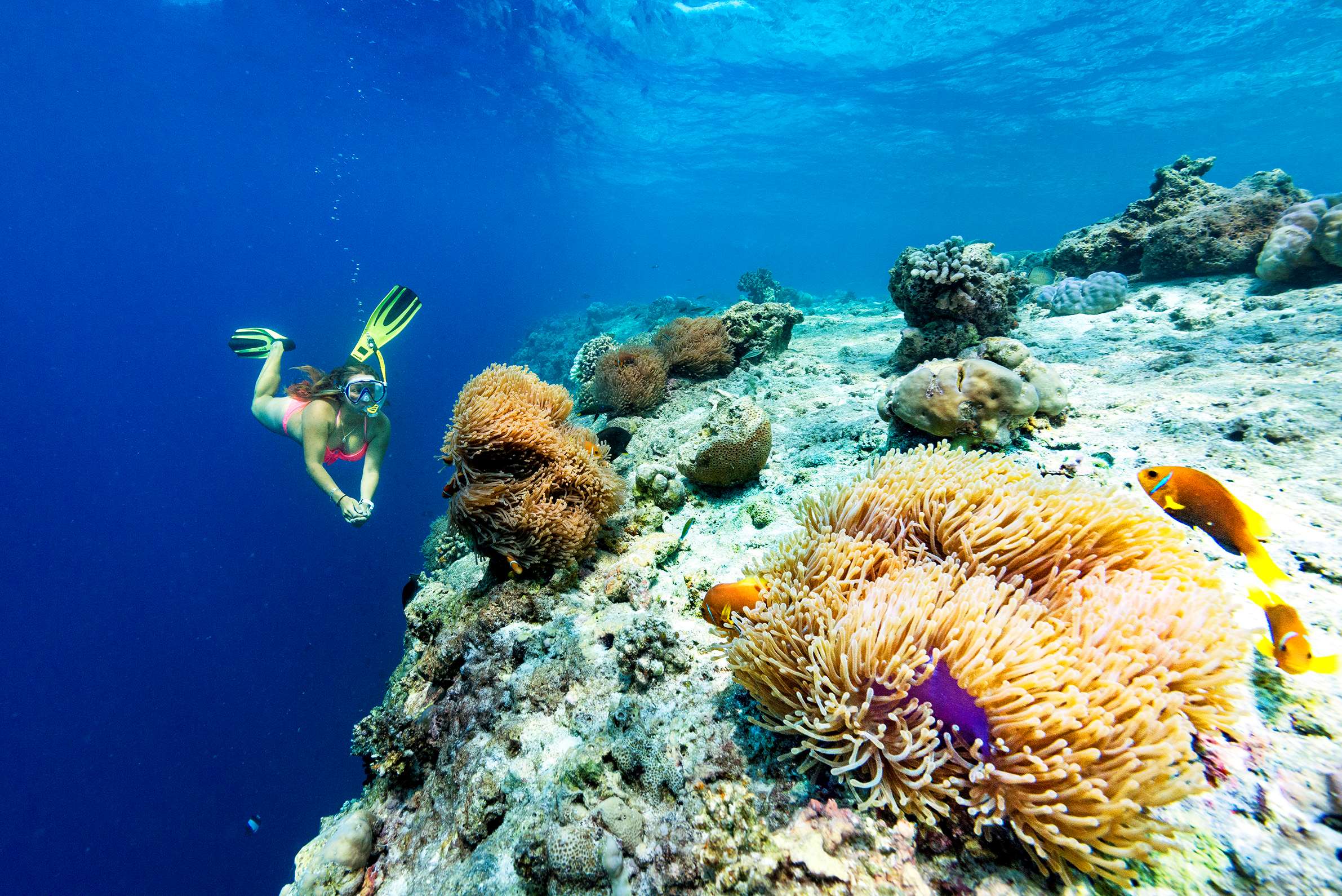 Sheraton Maldives Full Moon Resort & Spa