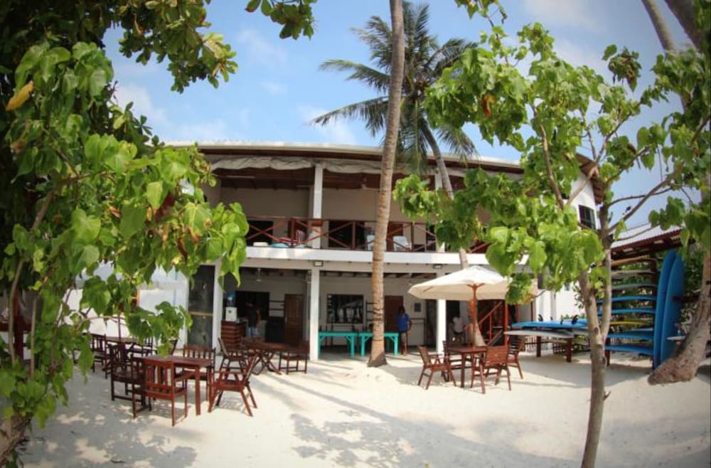 Cokes Surf Camp