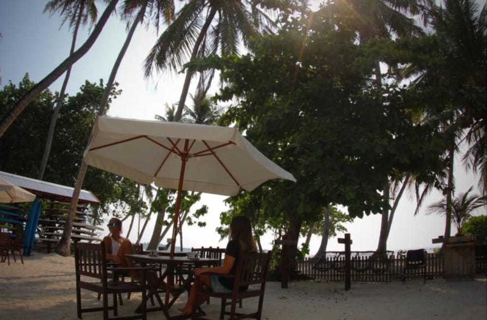 Cokes Surf Camp