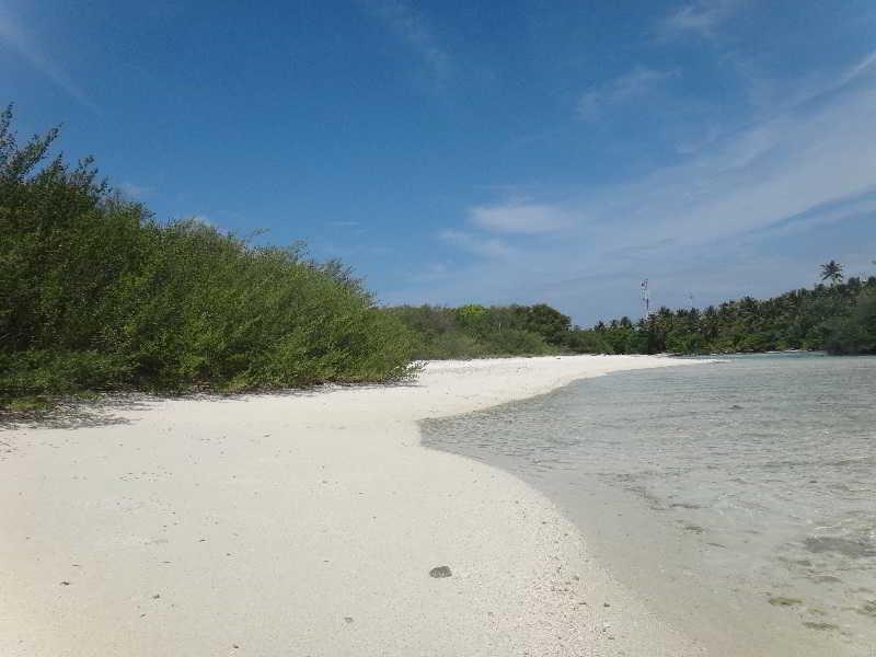 Variety Stay Guest House Maldives