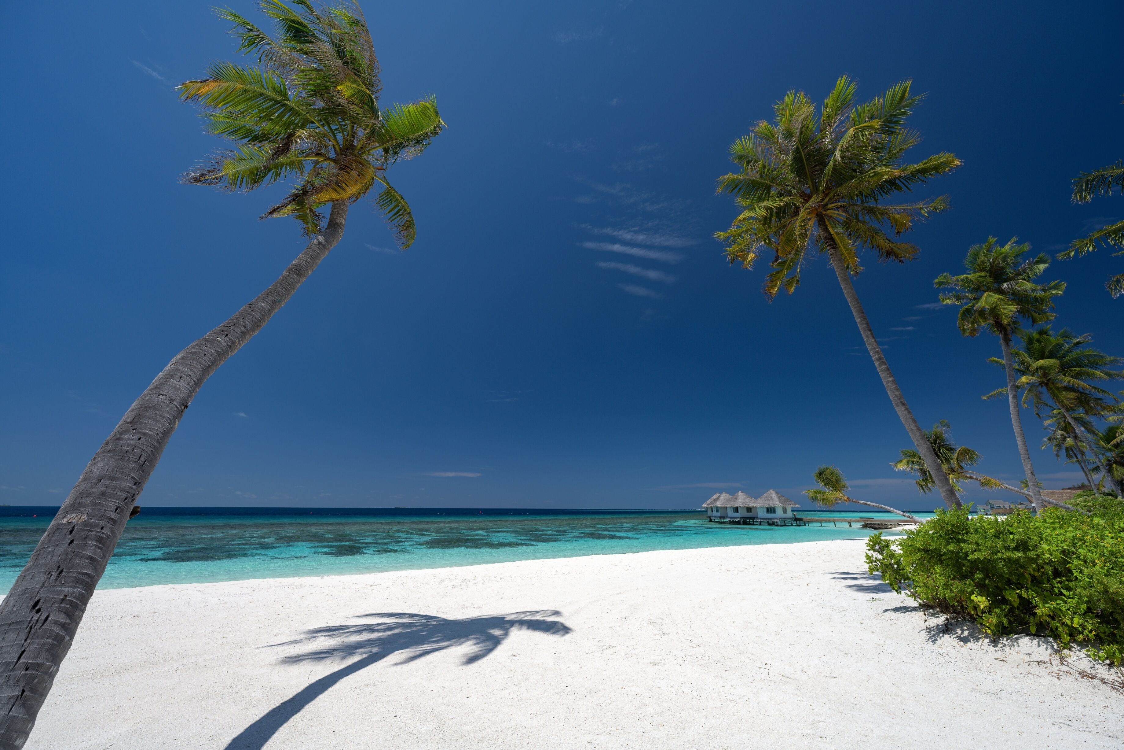 Cora Cora Maldives