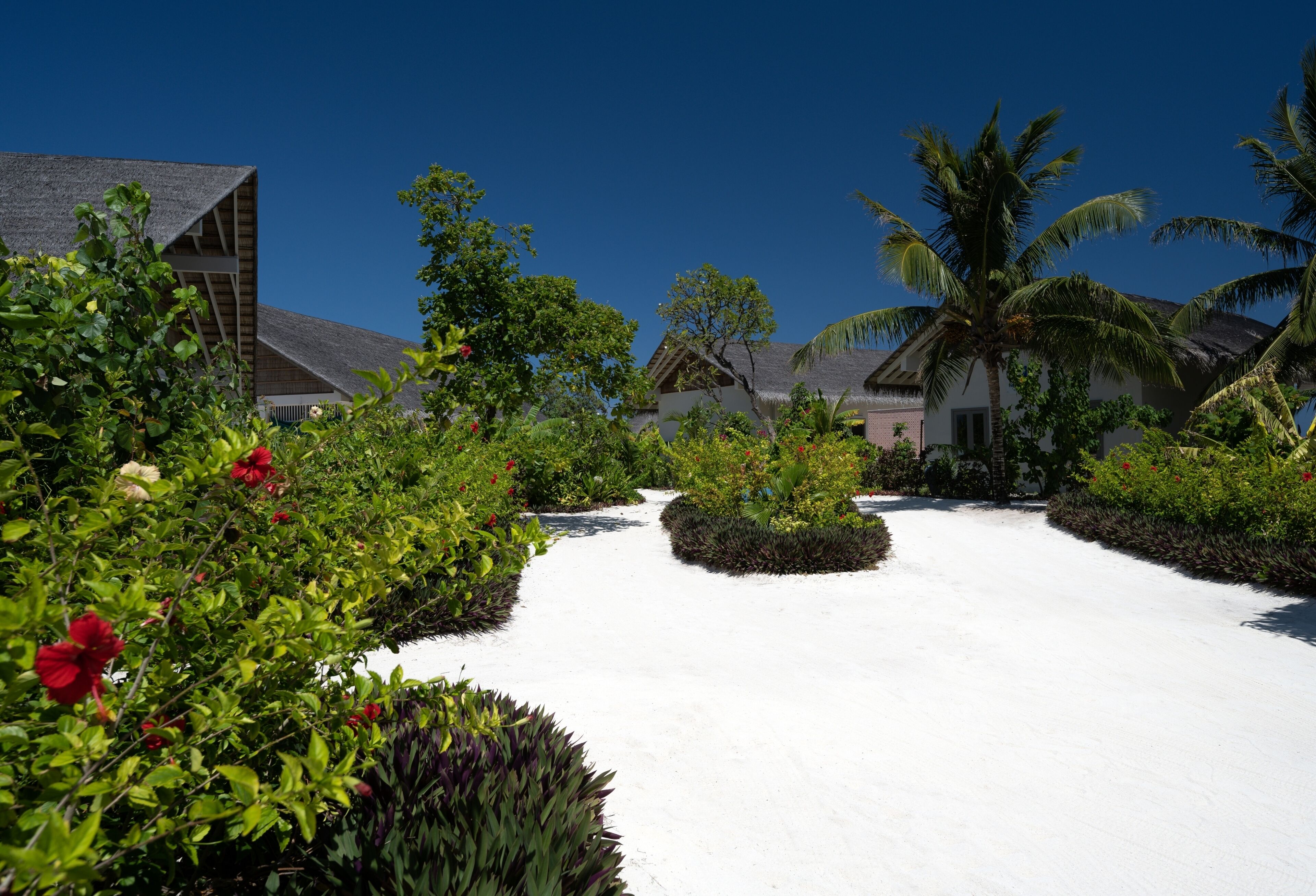 Cora Cora Maldives