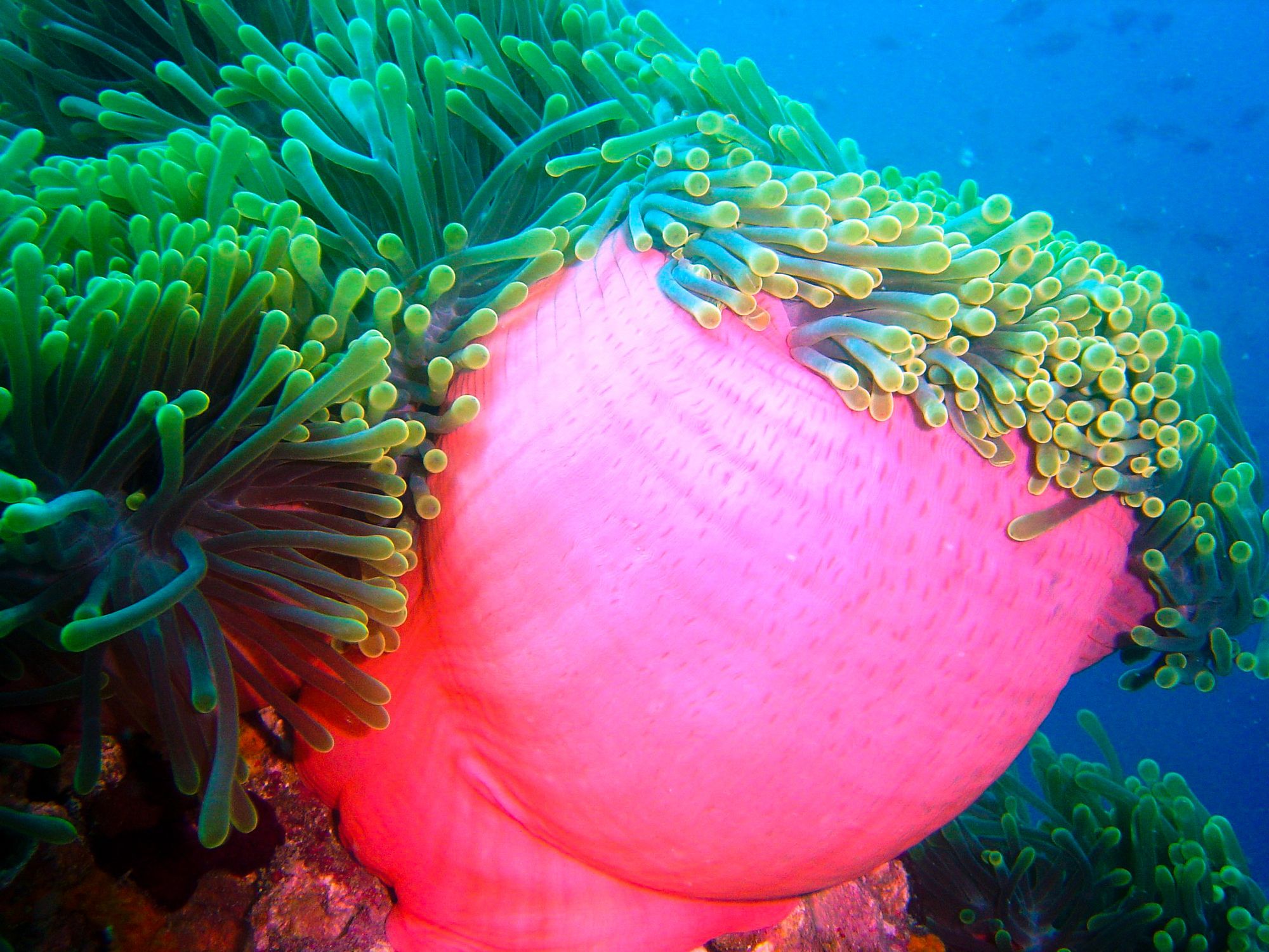 Ranveli Island Resort