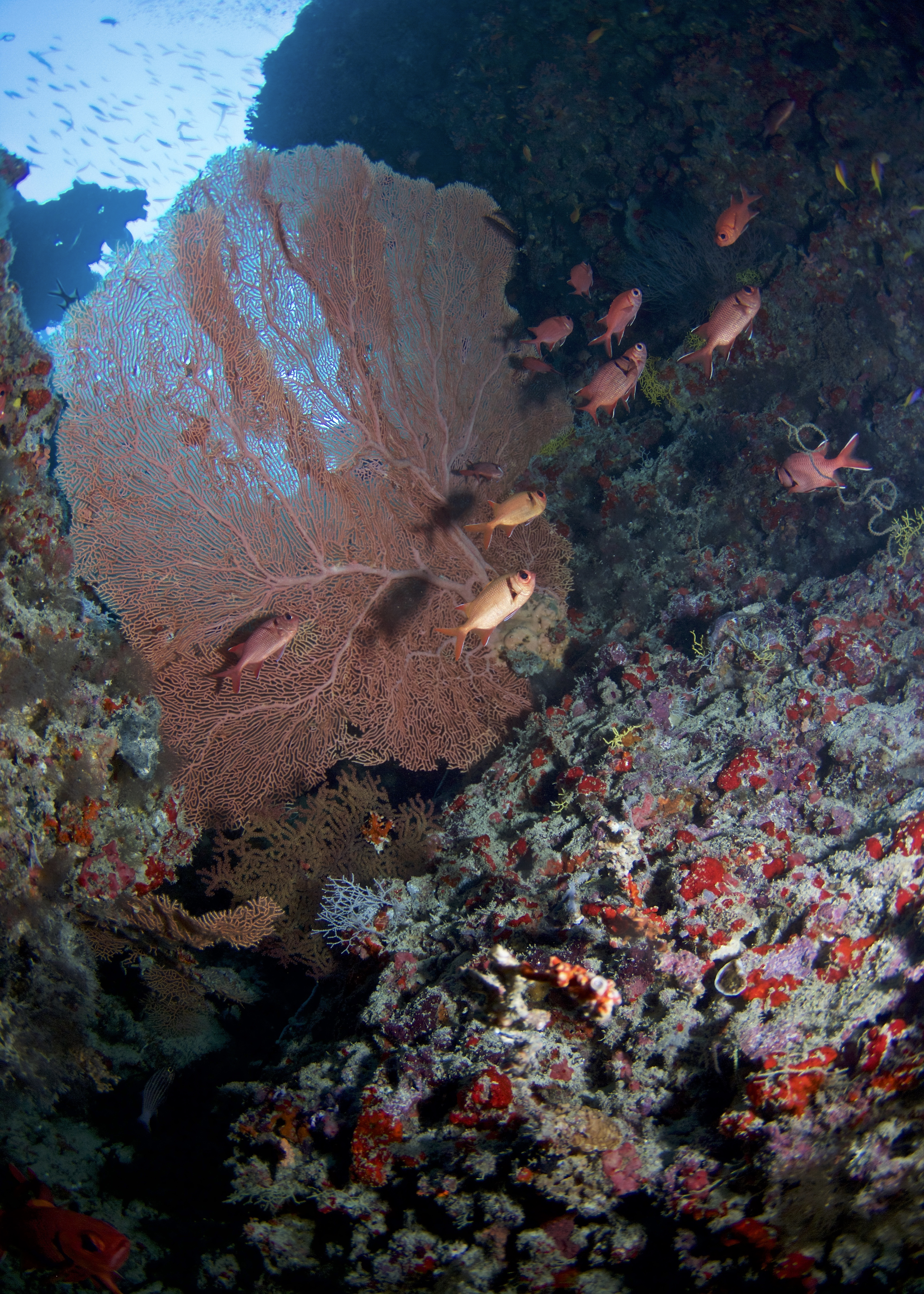 Biyadhoo Island
