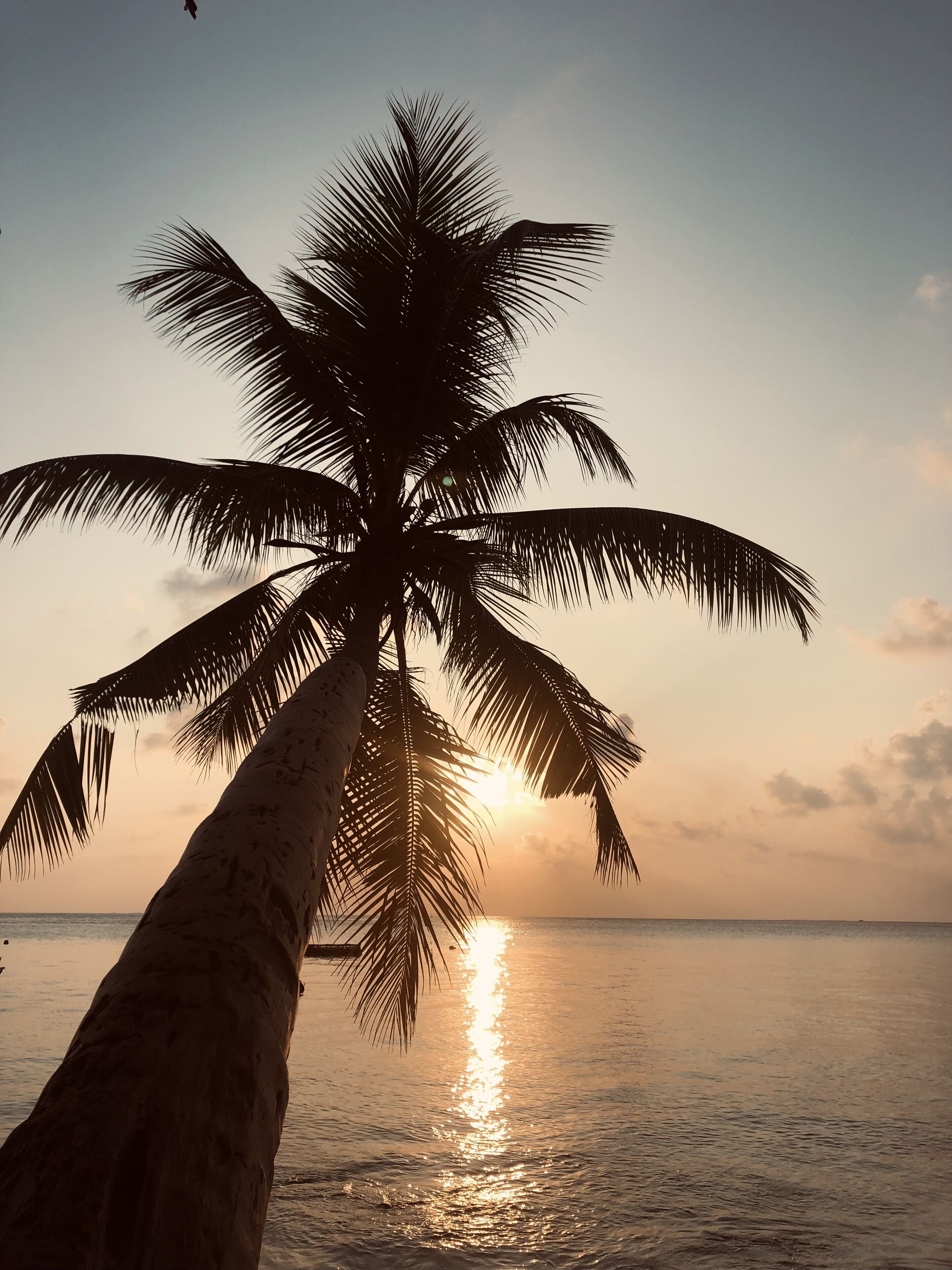 Aqua Sunset
