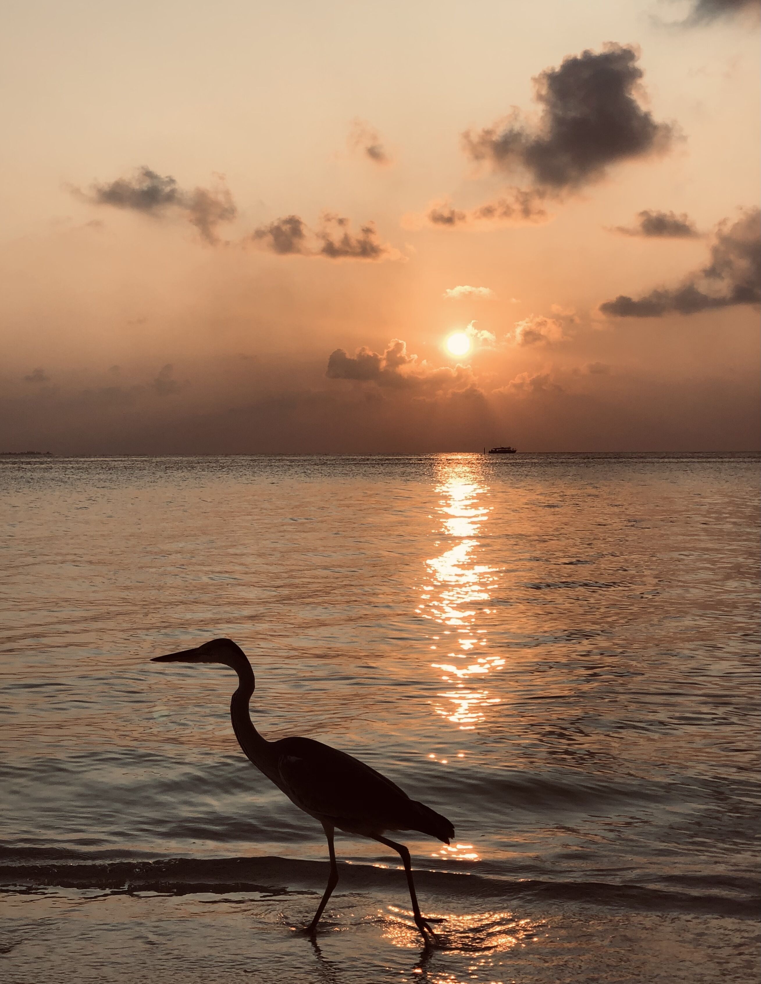 Aqua Sunset