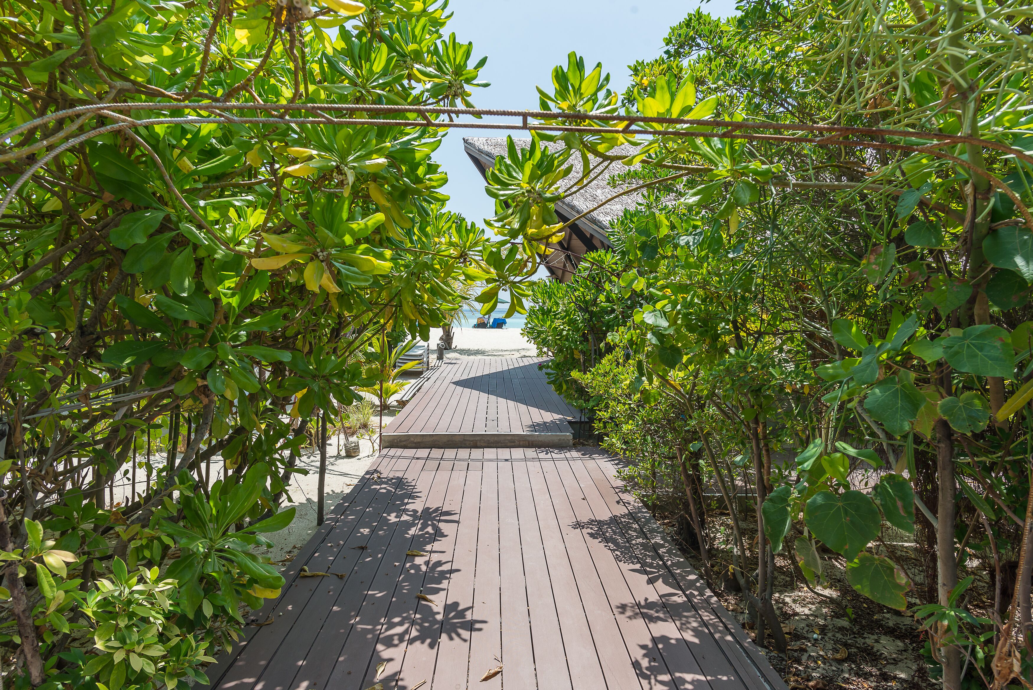 Premier Beach