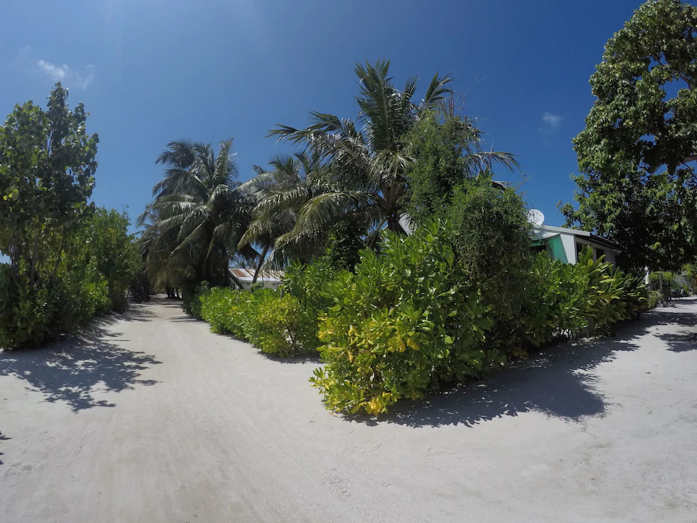 Ithaa Beach Maldives