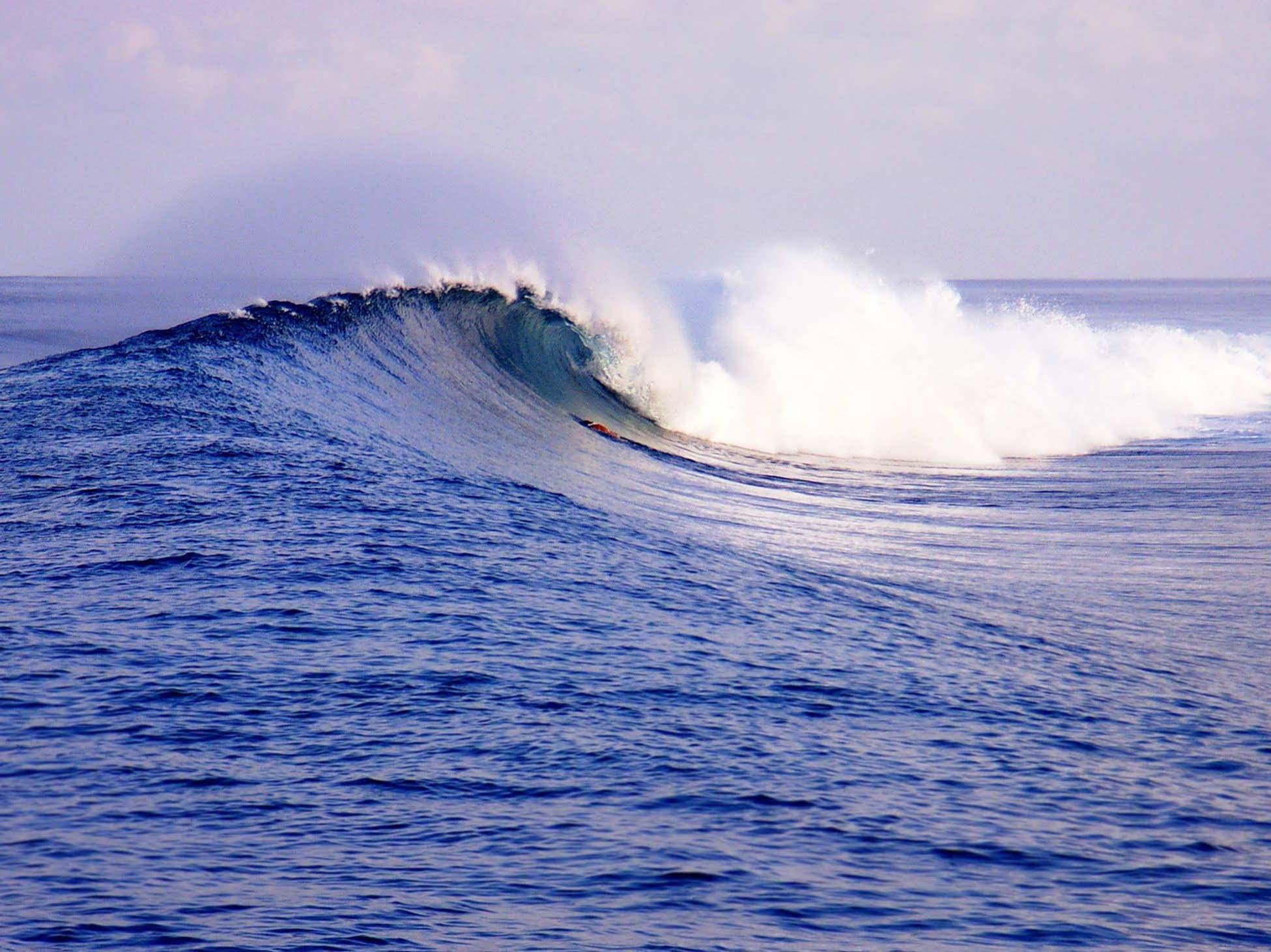 Serene Blue Bowls Surf Inn