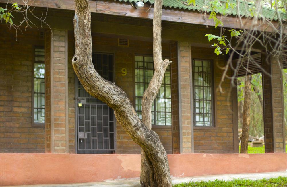 Woodlands Lilongwe
