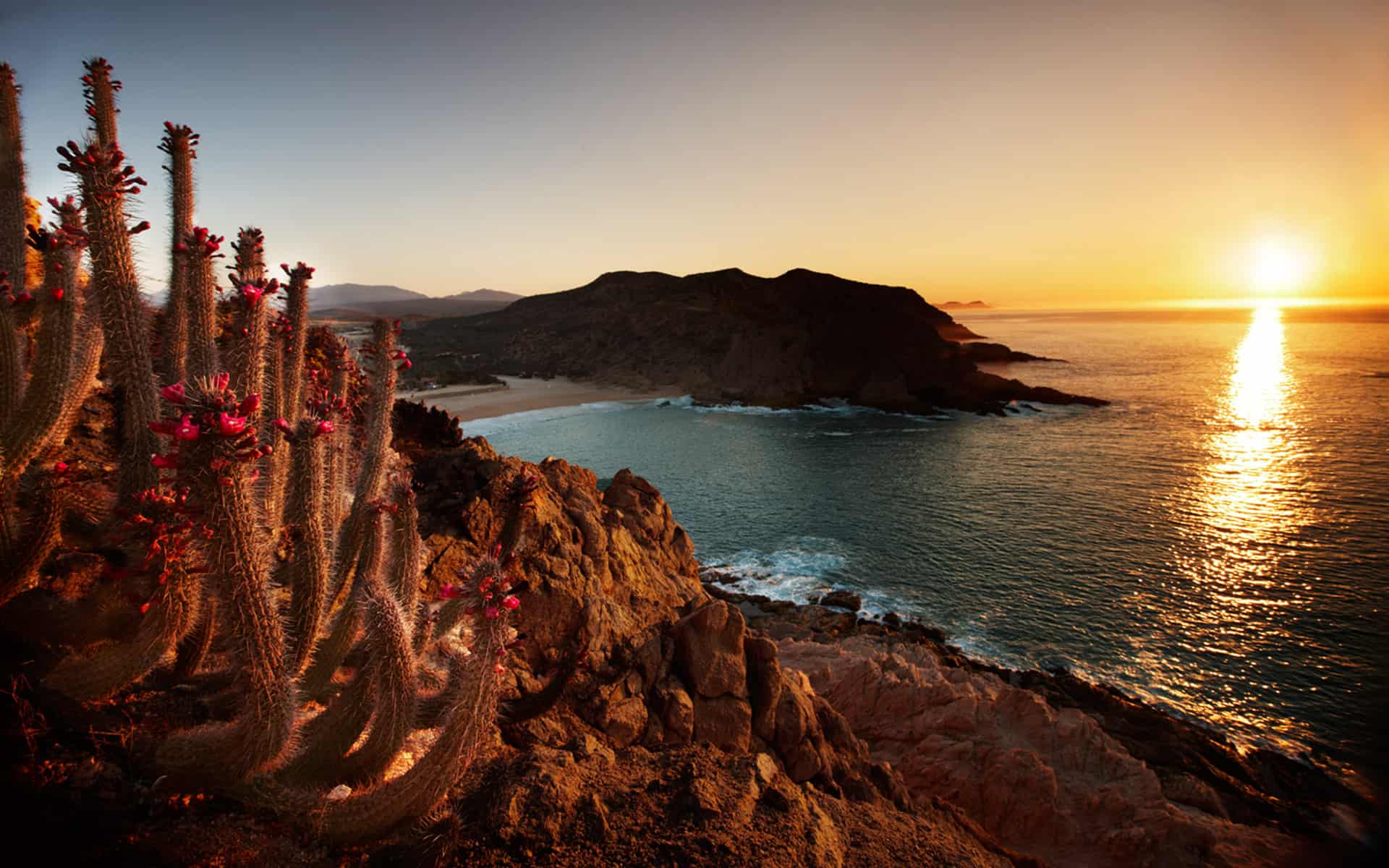 Montage Los Cabos
