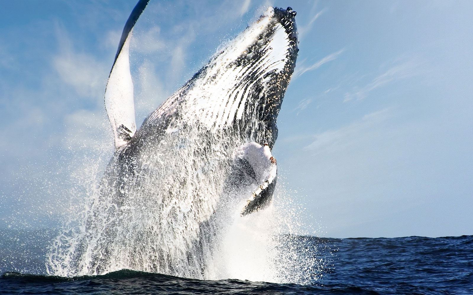 Playa Grande Resort & Grand Spa