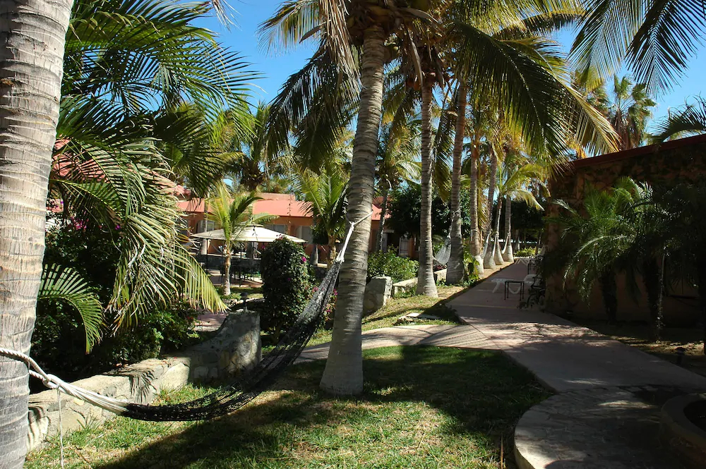 Buena Vista Oceanfront & Hot Springs Resort