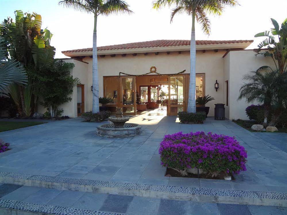 Cabo Marina Beach Condos