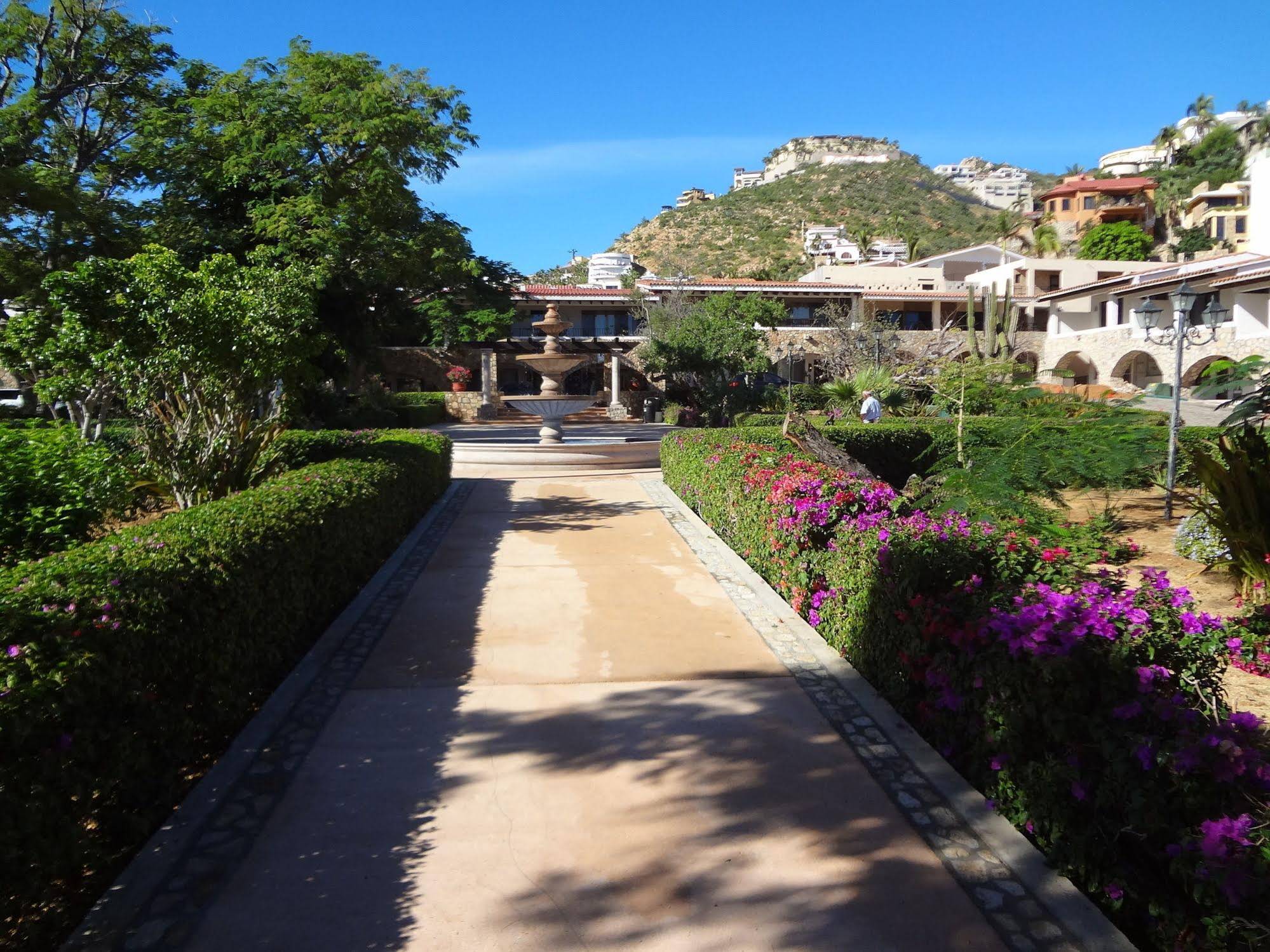Pedregal Suites