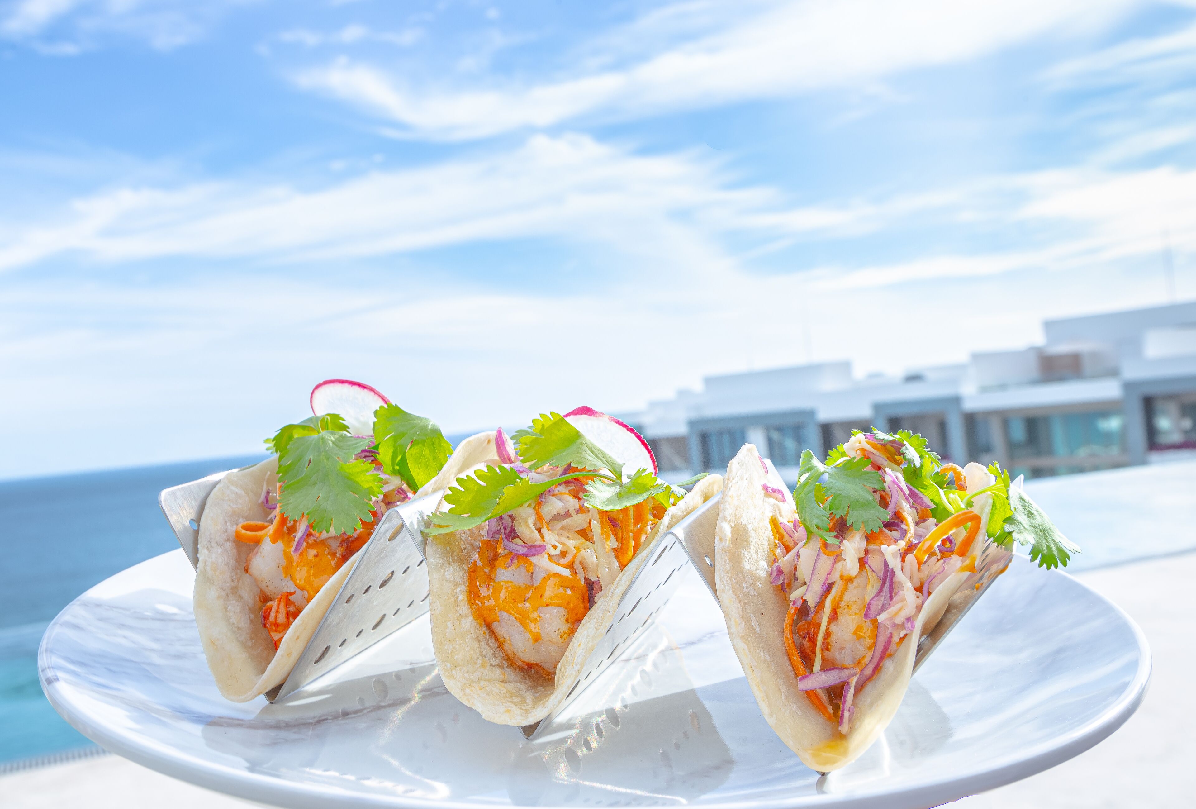 Garza Blanca Resort & Spa Los Cabos