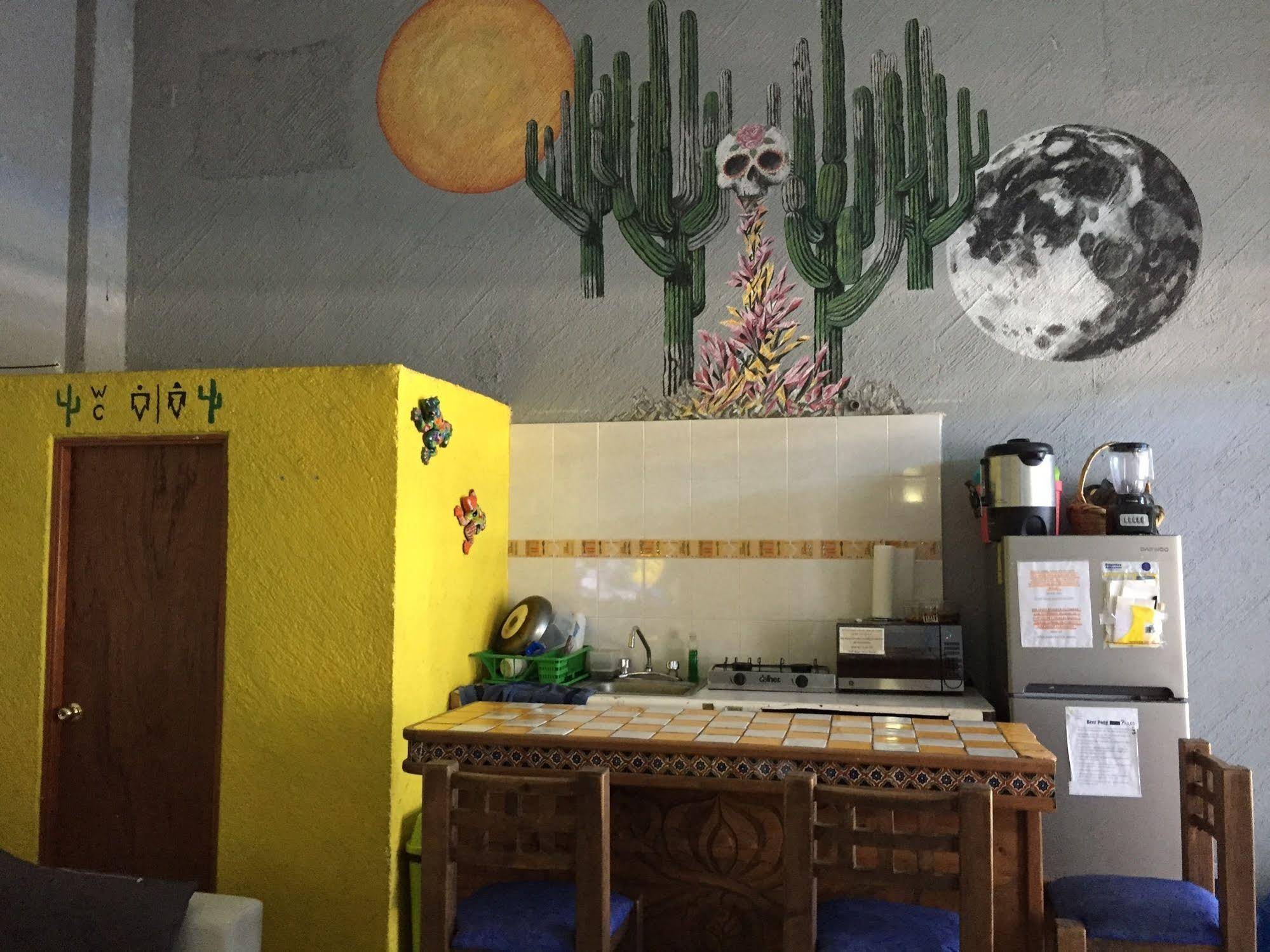 Hostel Baja's Cactus