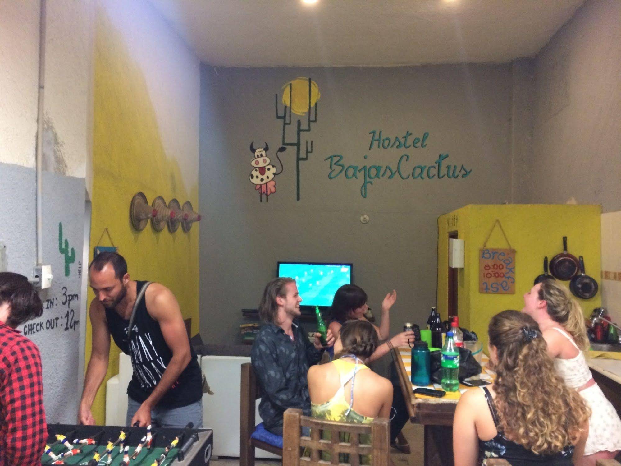 Hostel Baja's Cactus