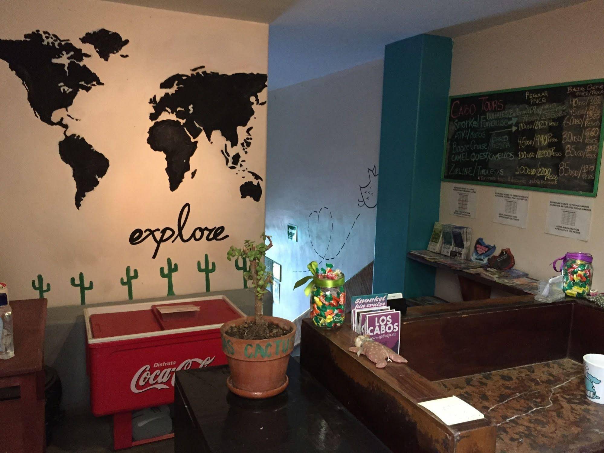 Hostel Baja's Cactus