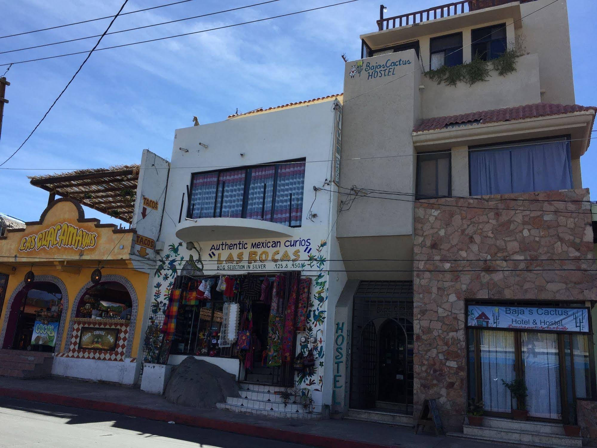 Hostel Baja's Cactus