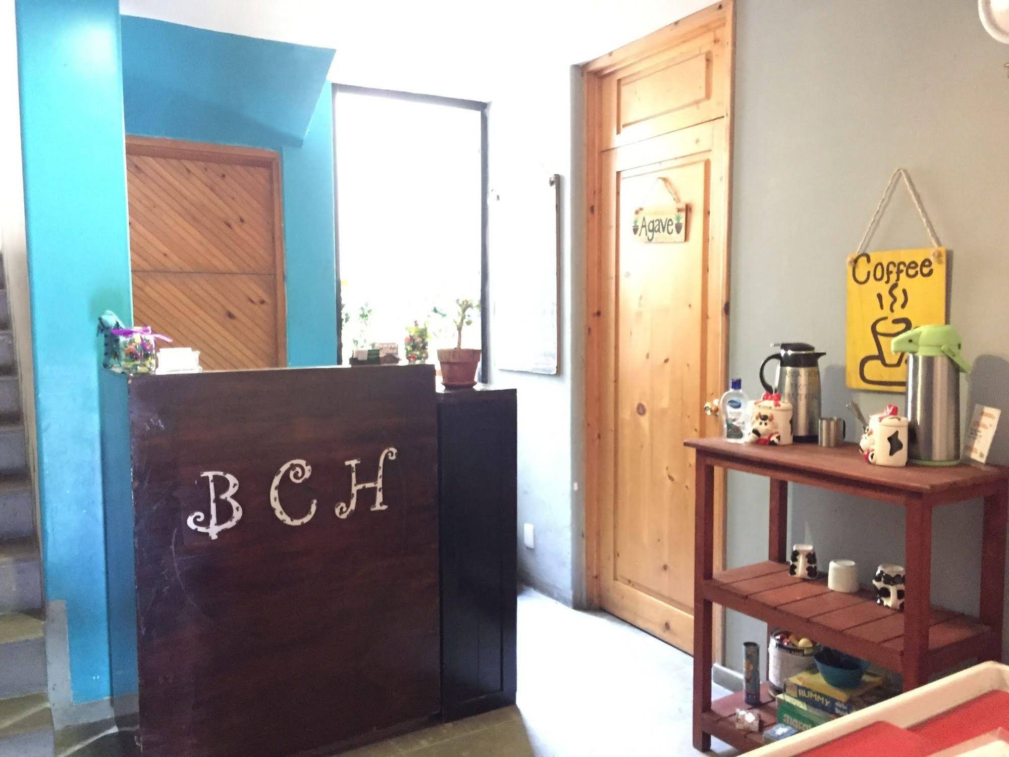 Hostel Baja's Cactus