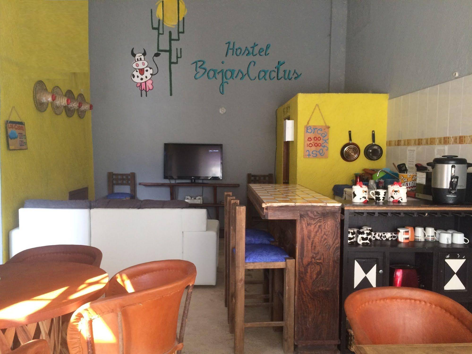 Hostel Baja's Cactus