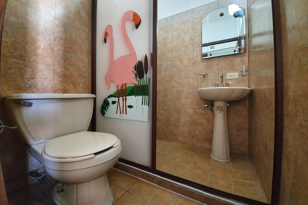 Hotel Colonos