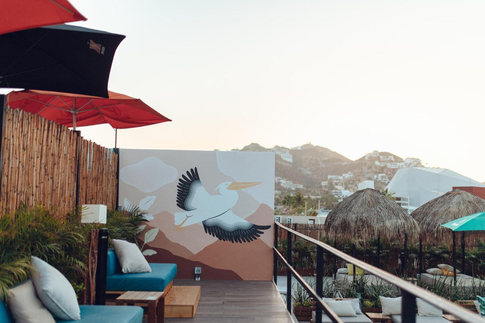 Mayan Monkey Los Cabos