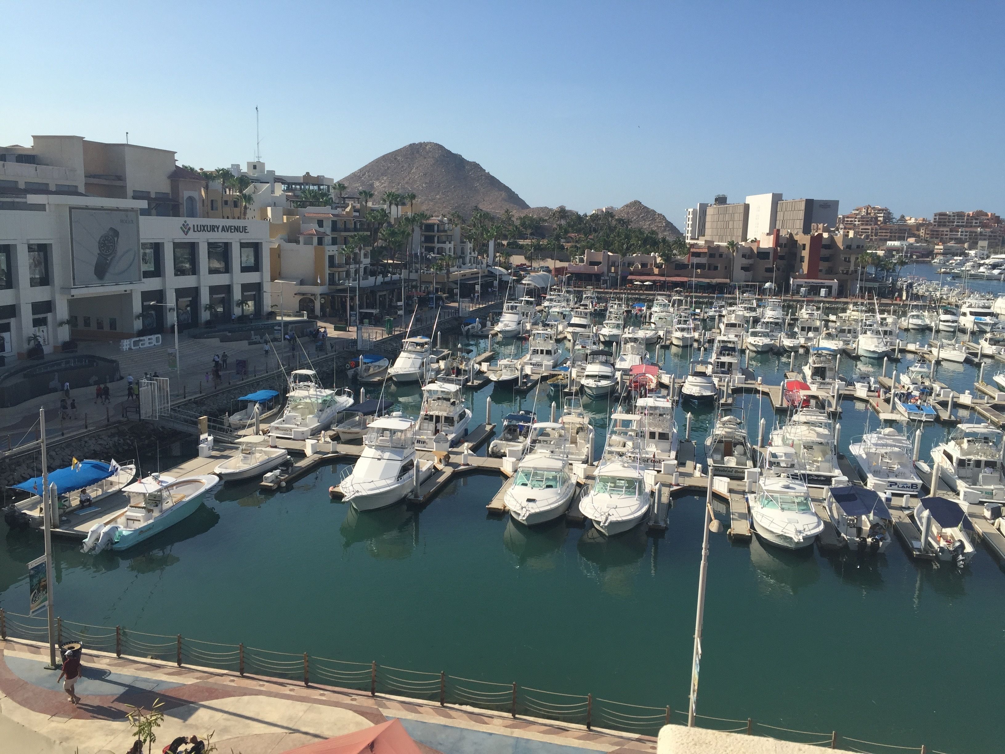 Studio Suite at Marina Cabo Plaza