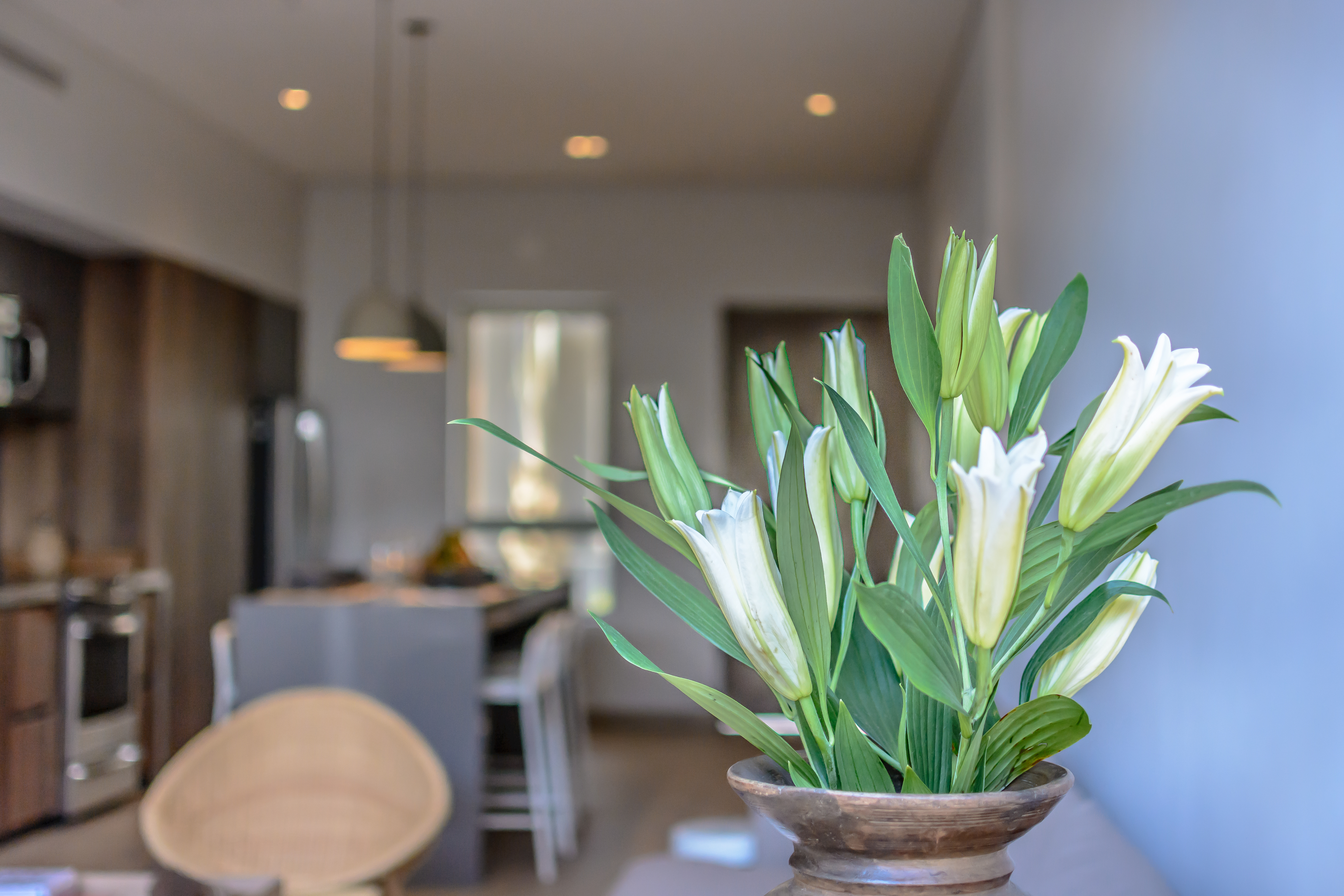 The Paraiso Residences