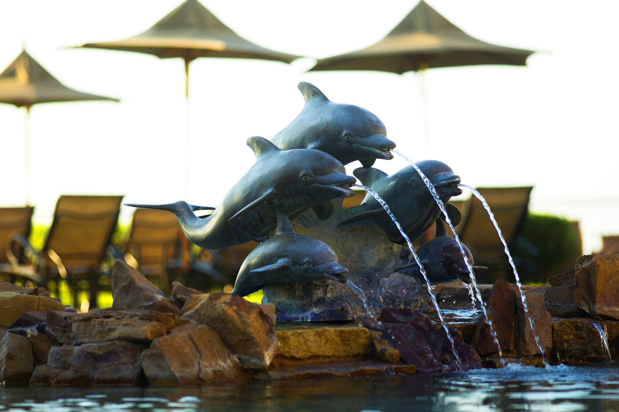 Villa la Estancia Beach Resort & Spa