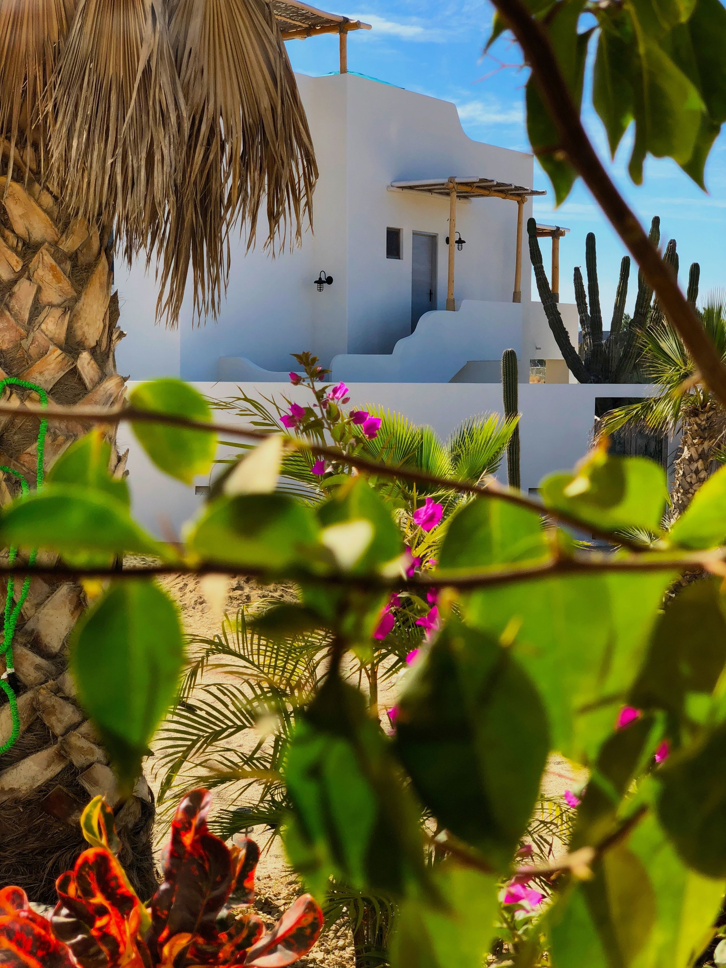 The Freesouls Residences Cerritos Beach