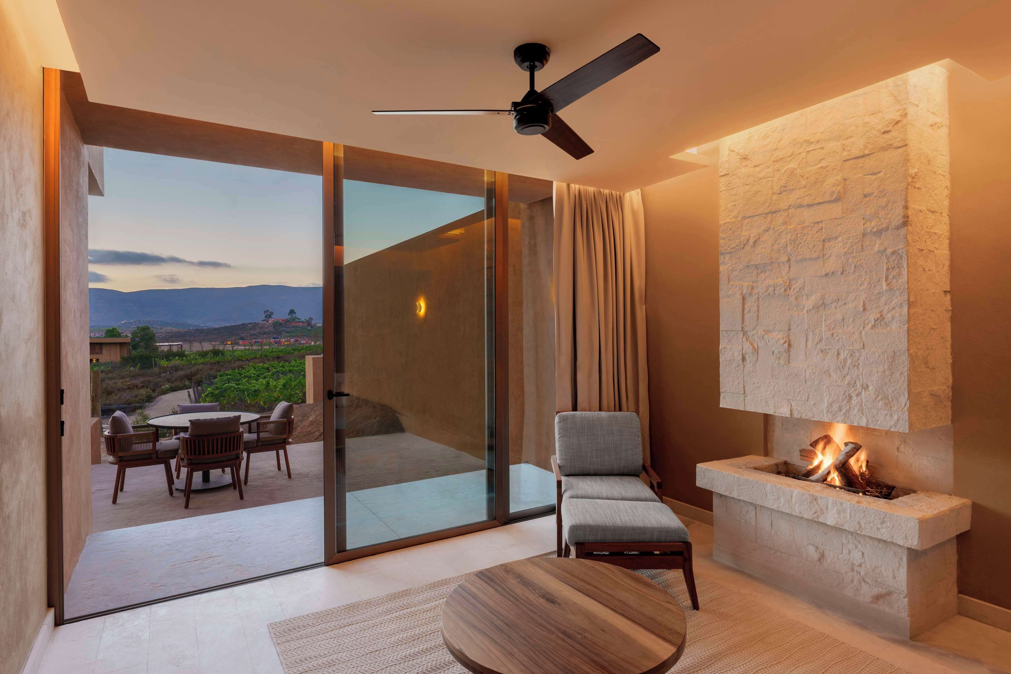 Banyan Tree Veya Valle de Guadalupe